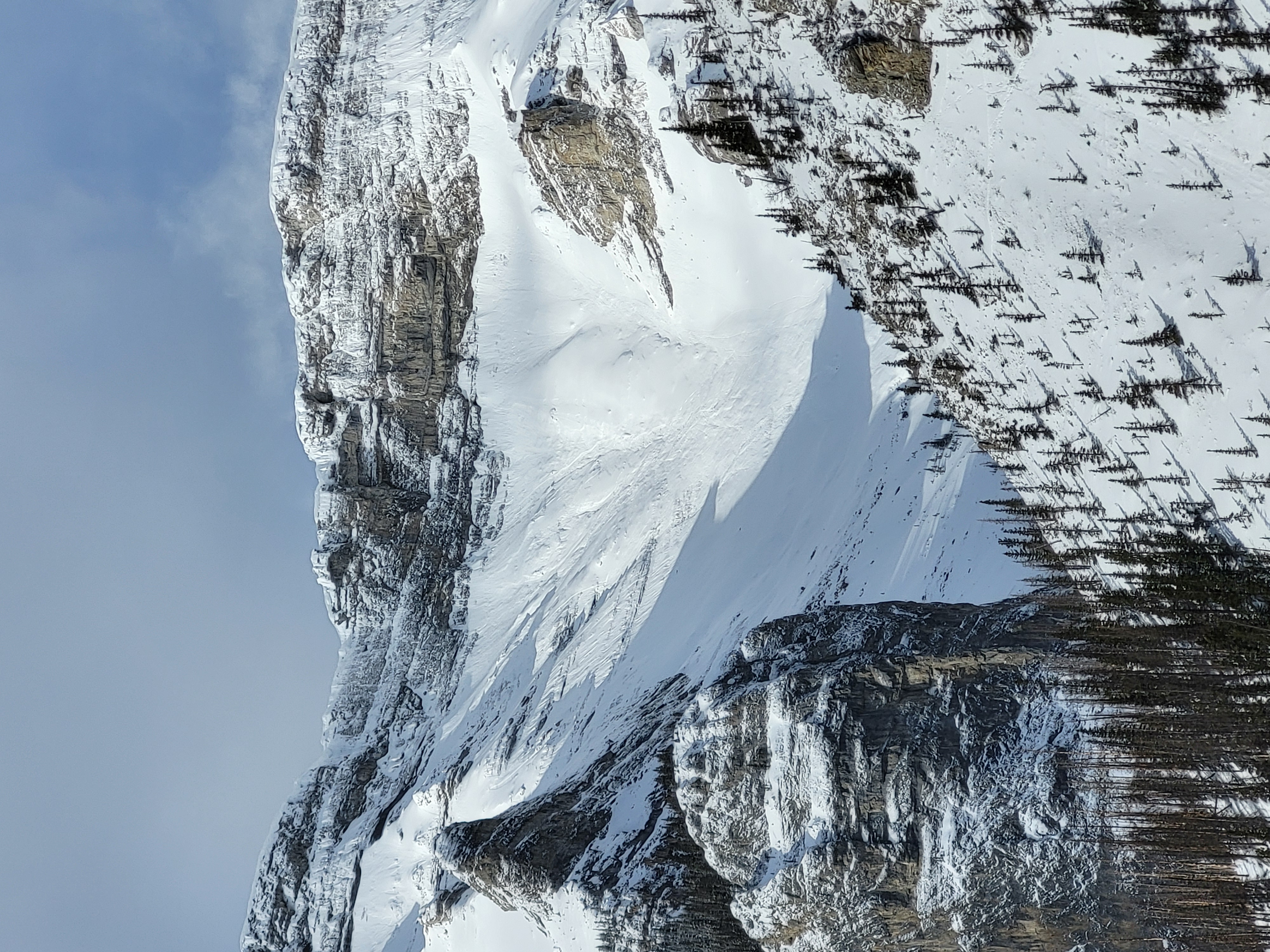 Observation photo