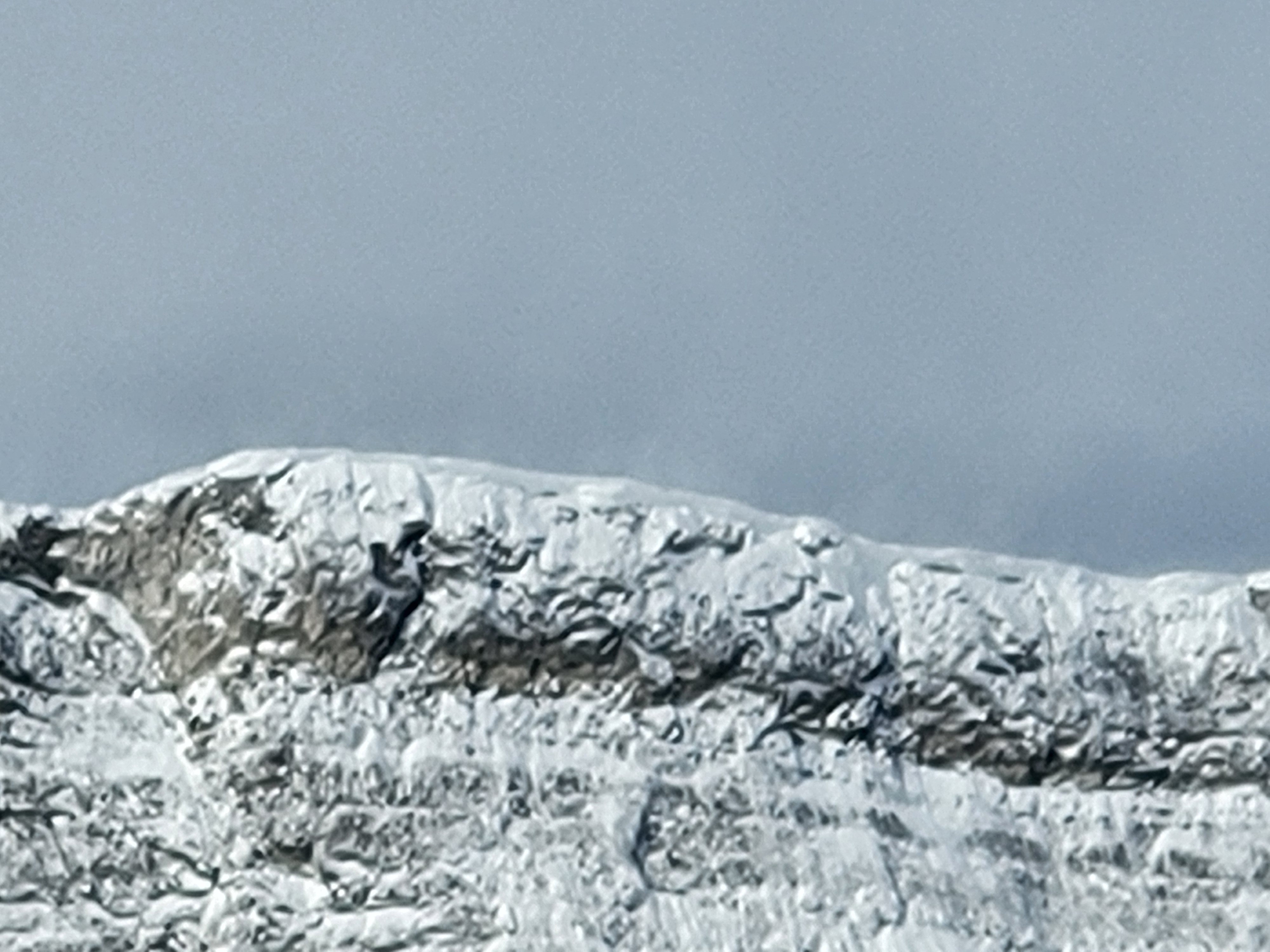Observation photo