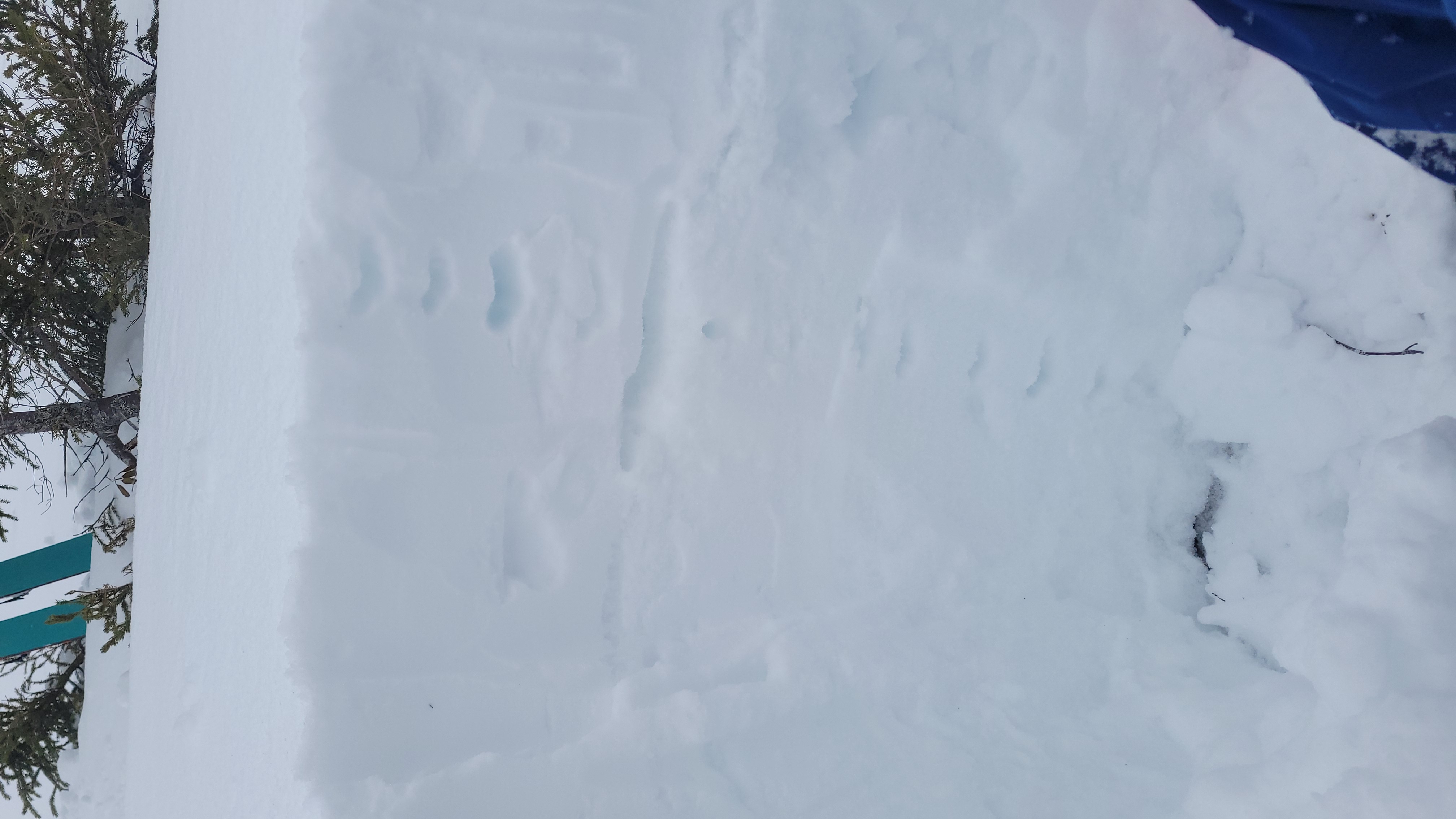 Observation photo