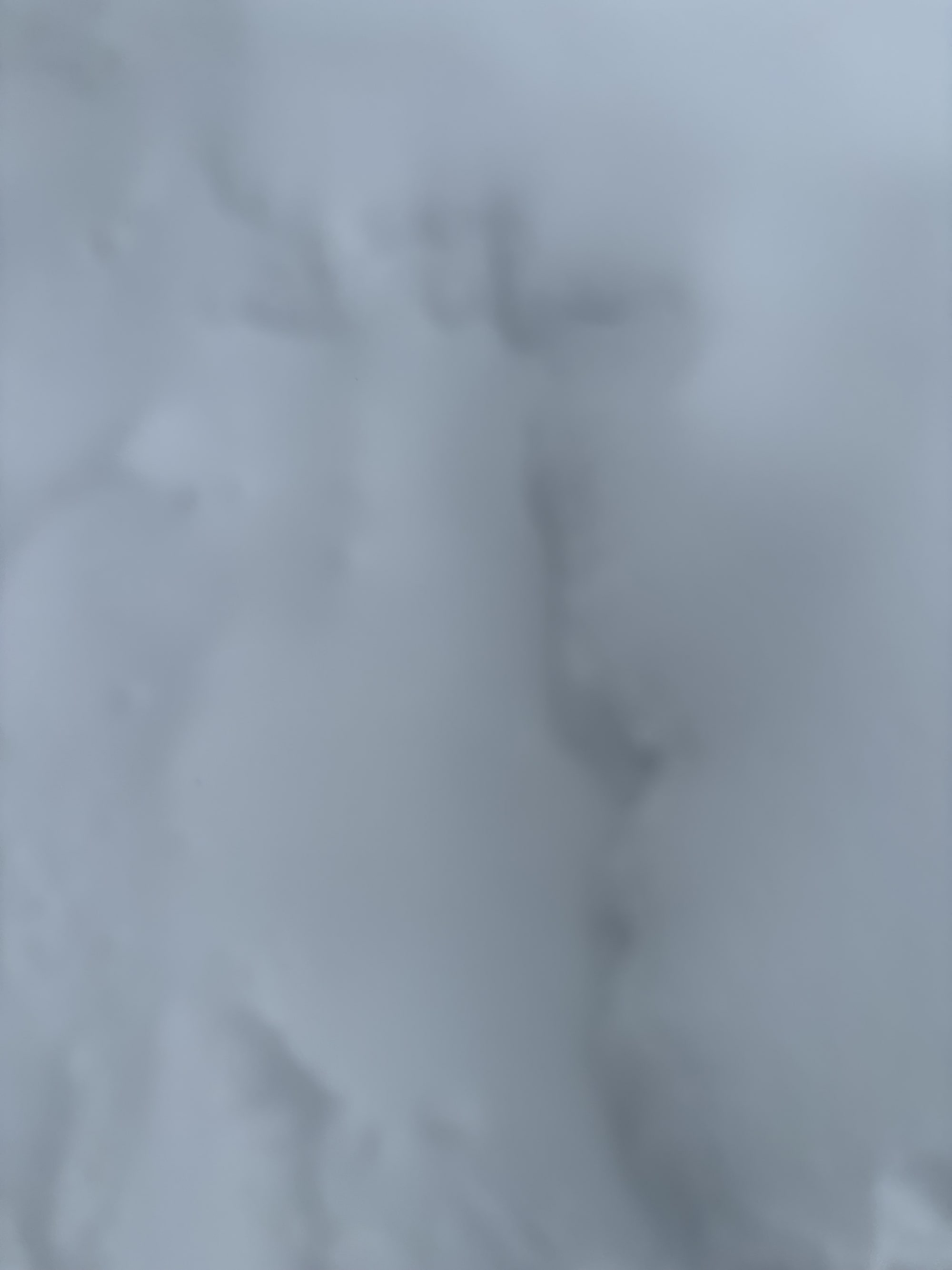 Observation photo