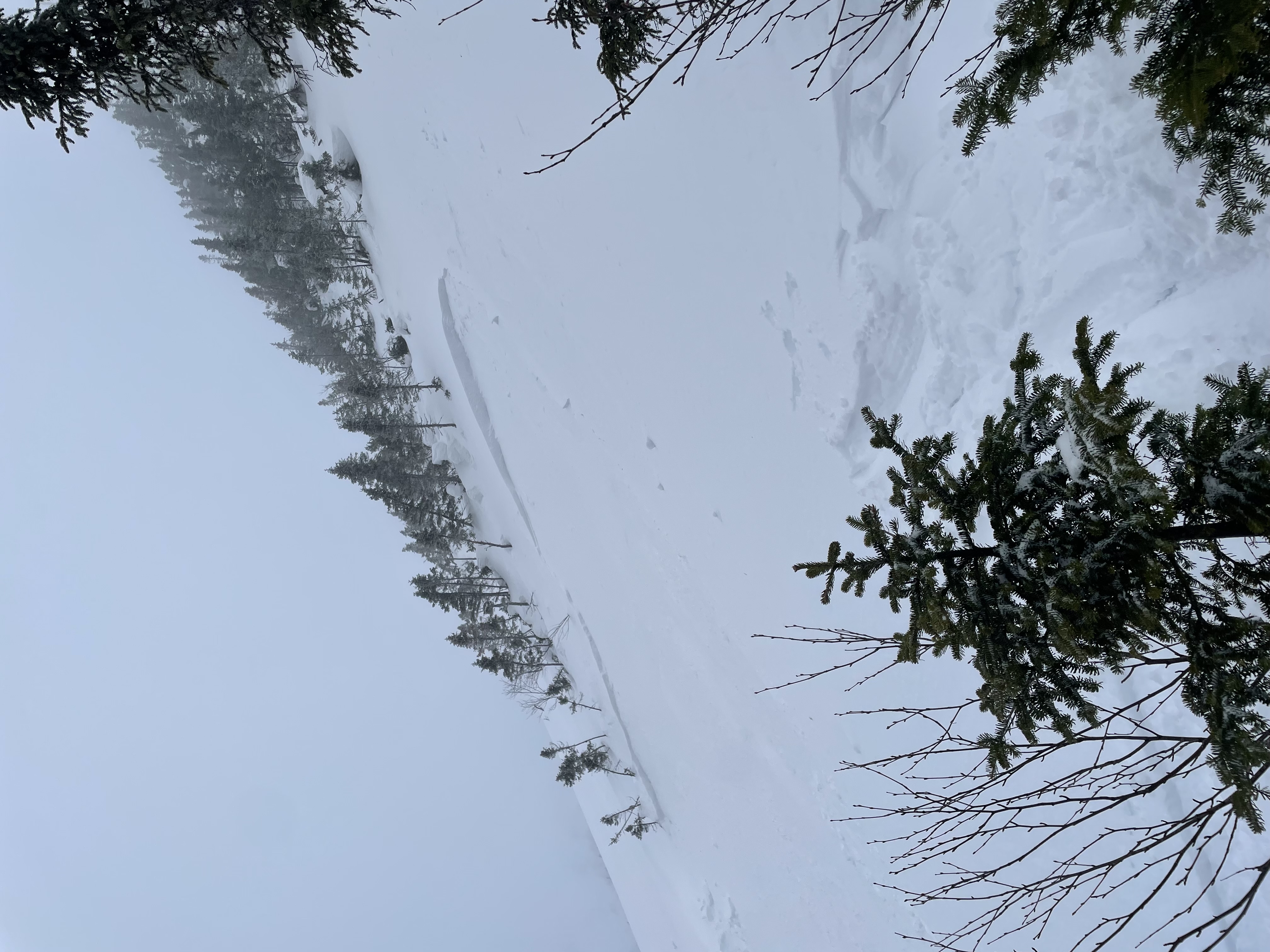 Observation photo