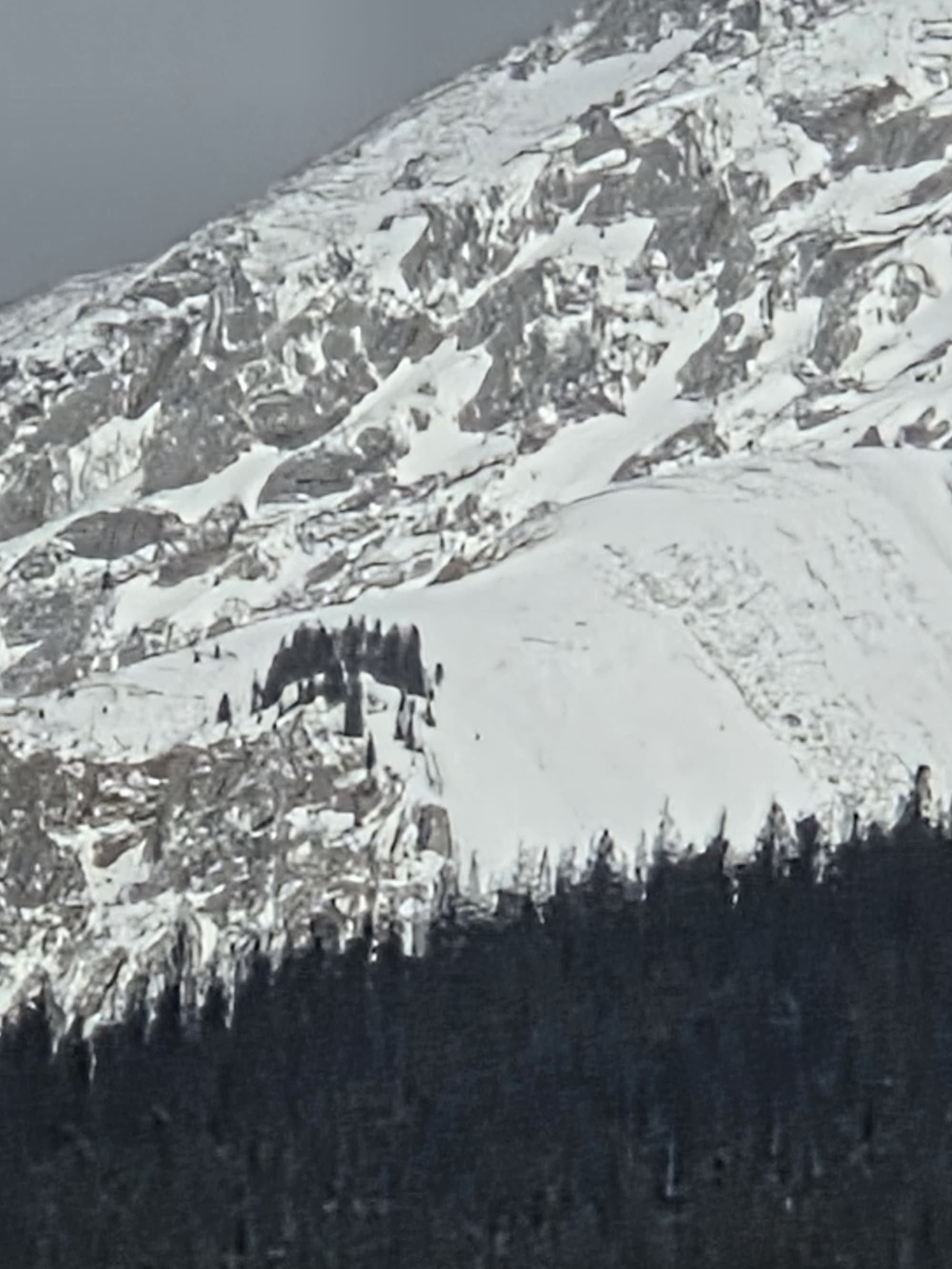 Observation photo