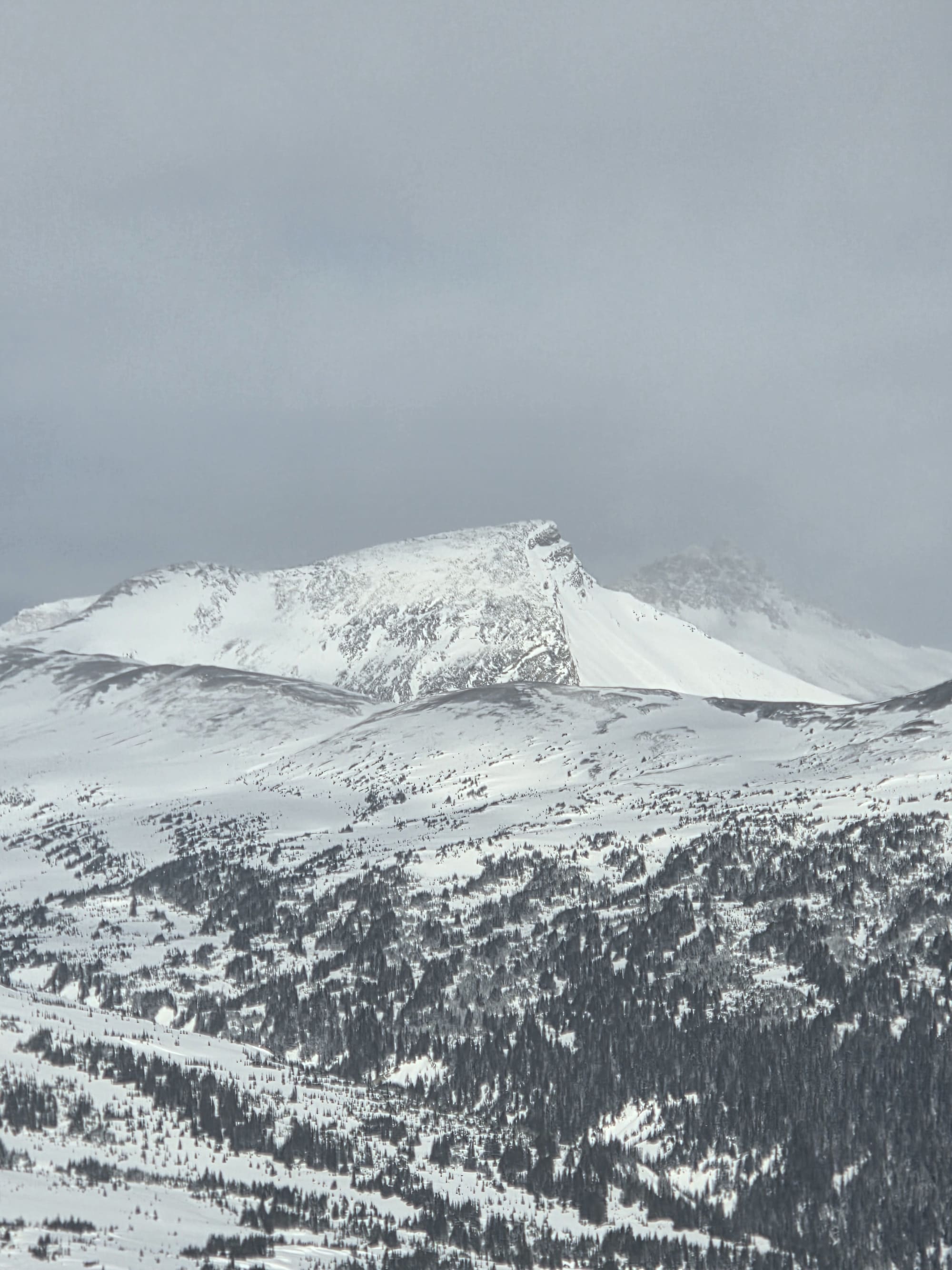 Observation photo