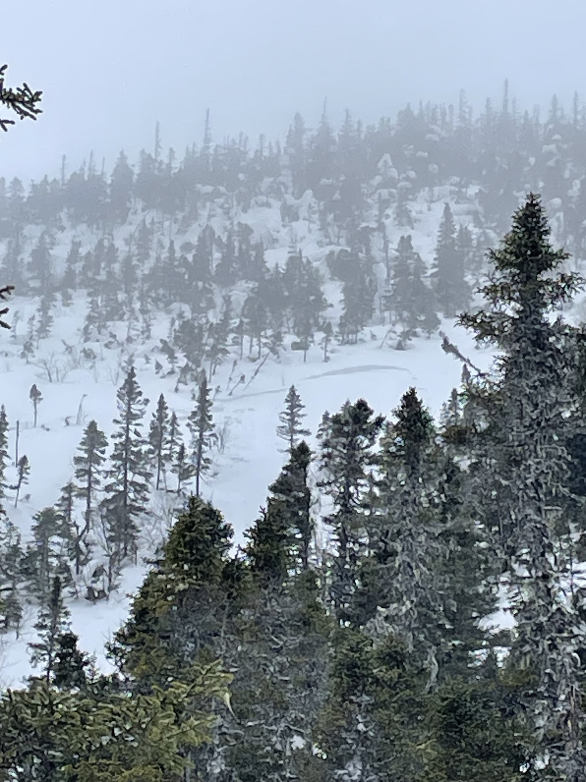 Observation photo
