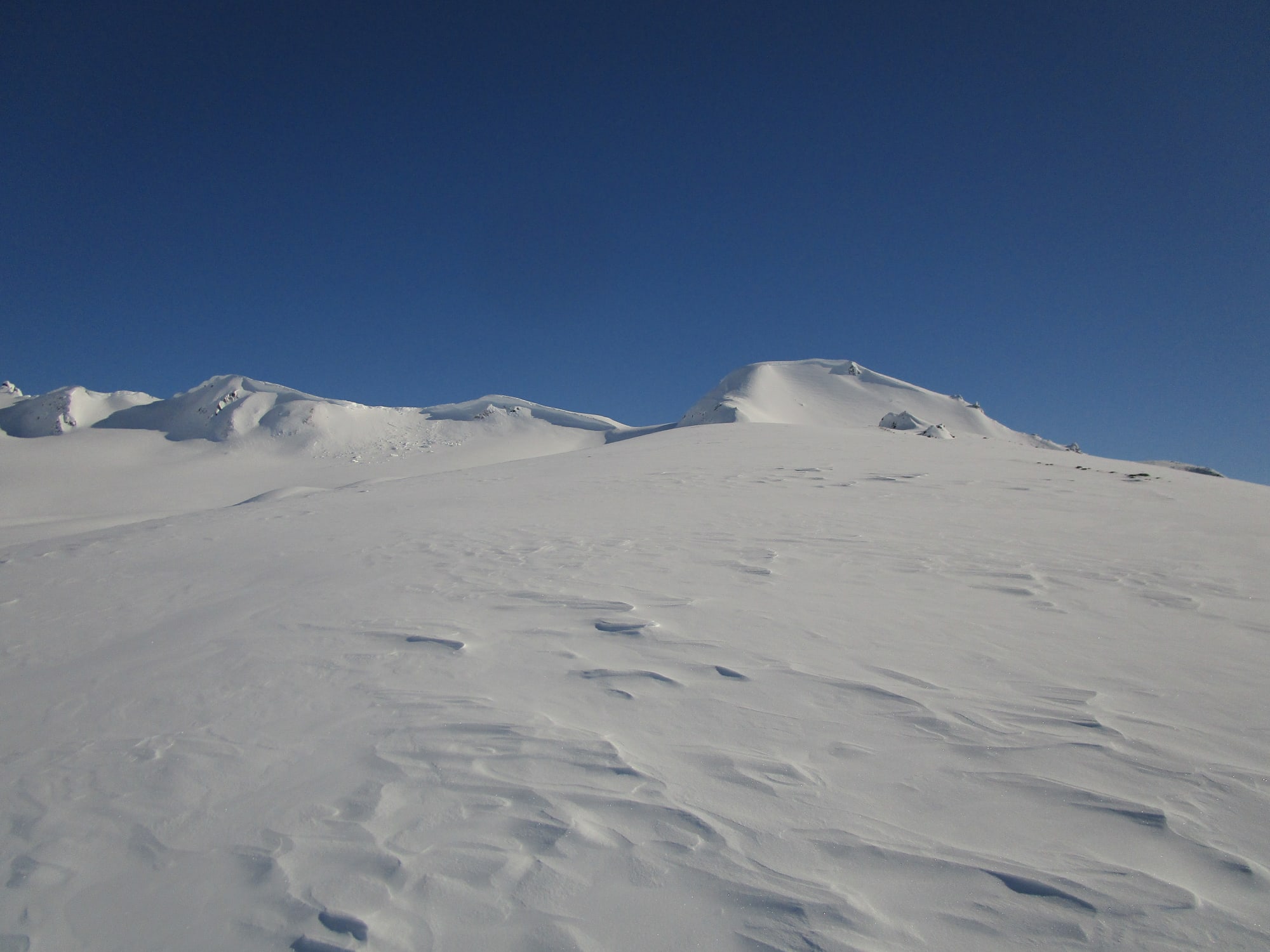 Observation photo