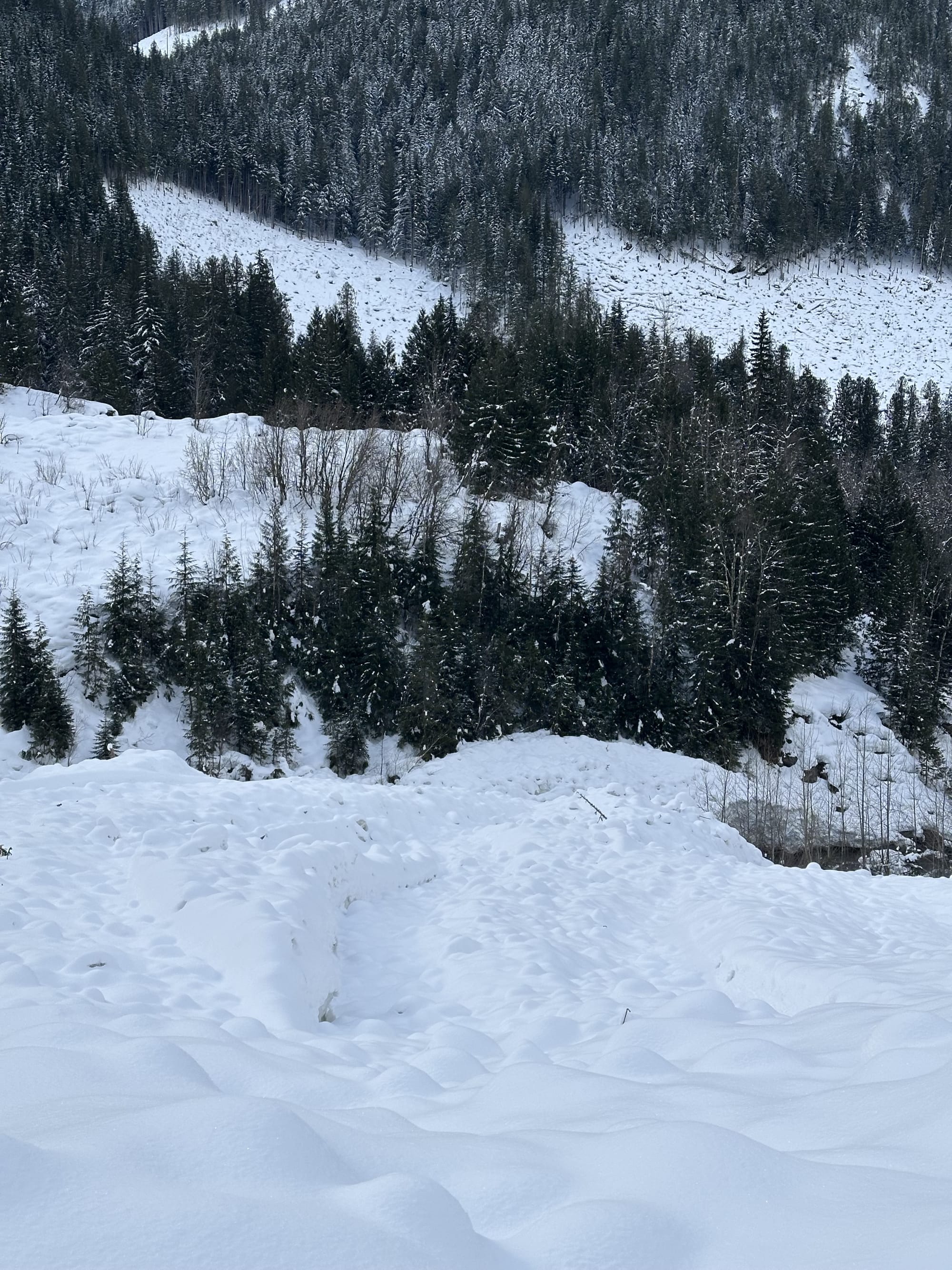 Observation photo