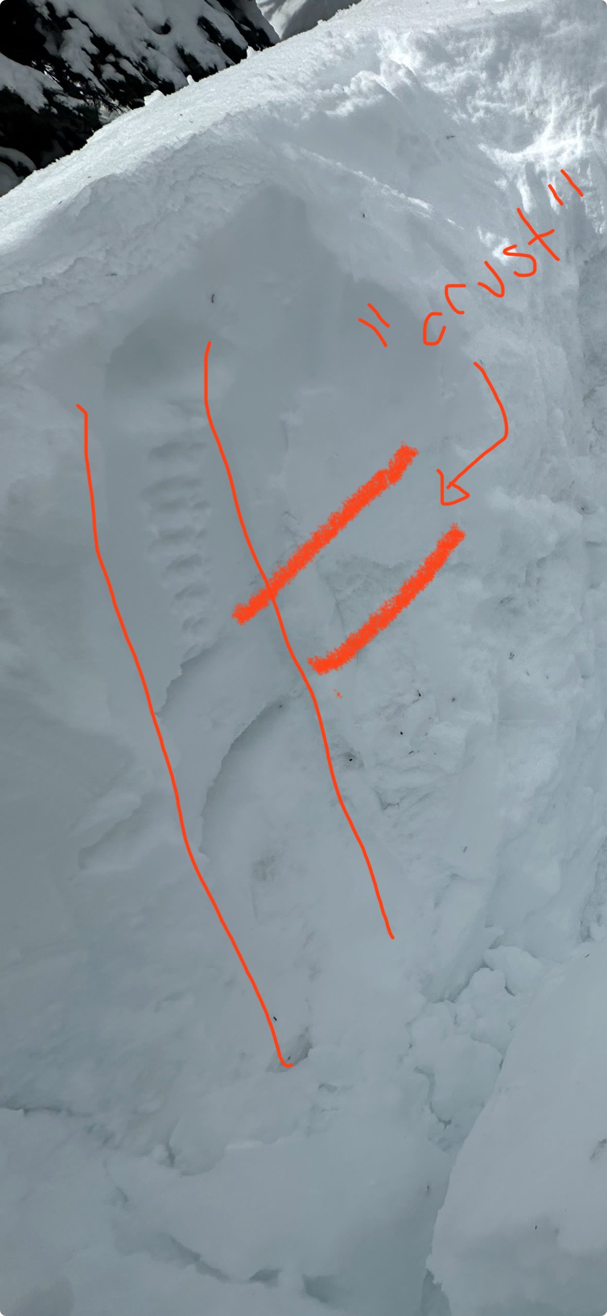 Observation photo