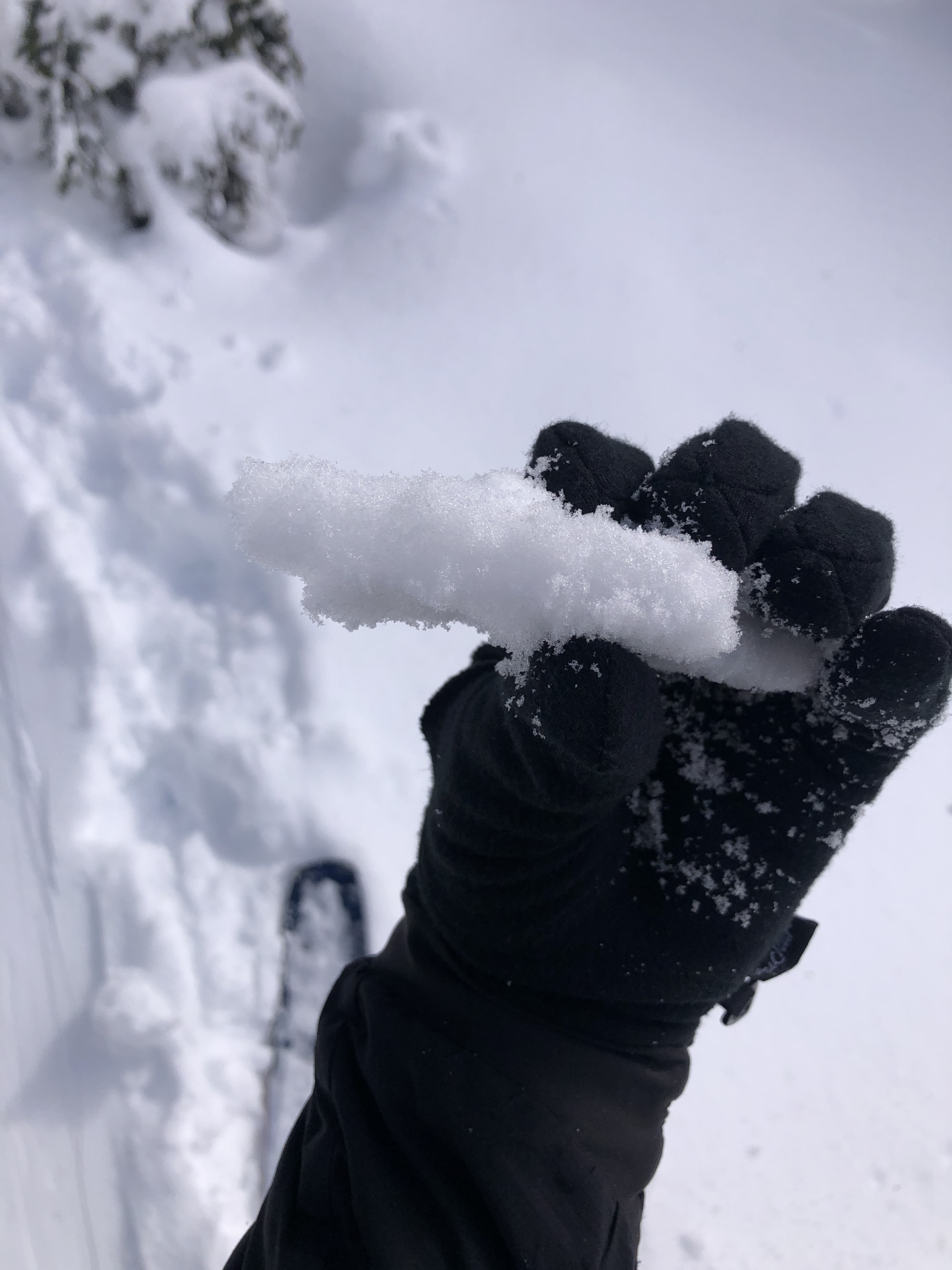 Observation photo