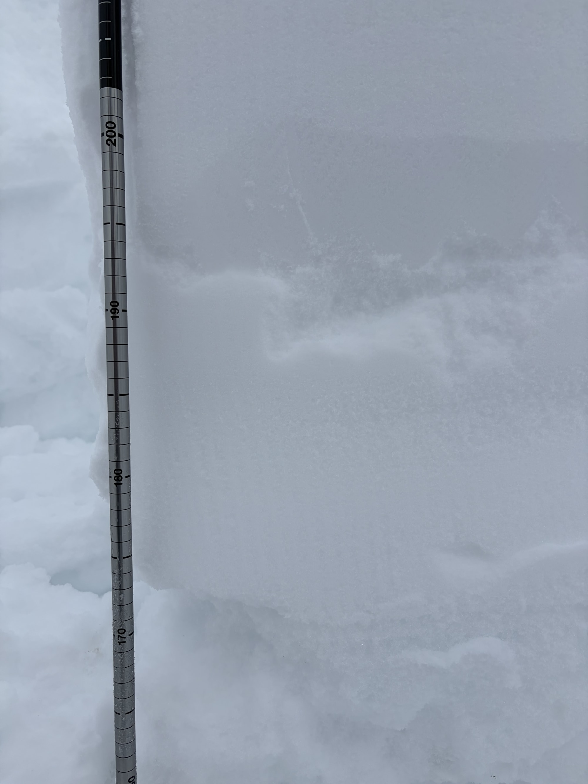 Observation photo