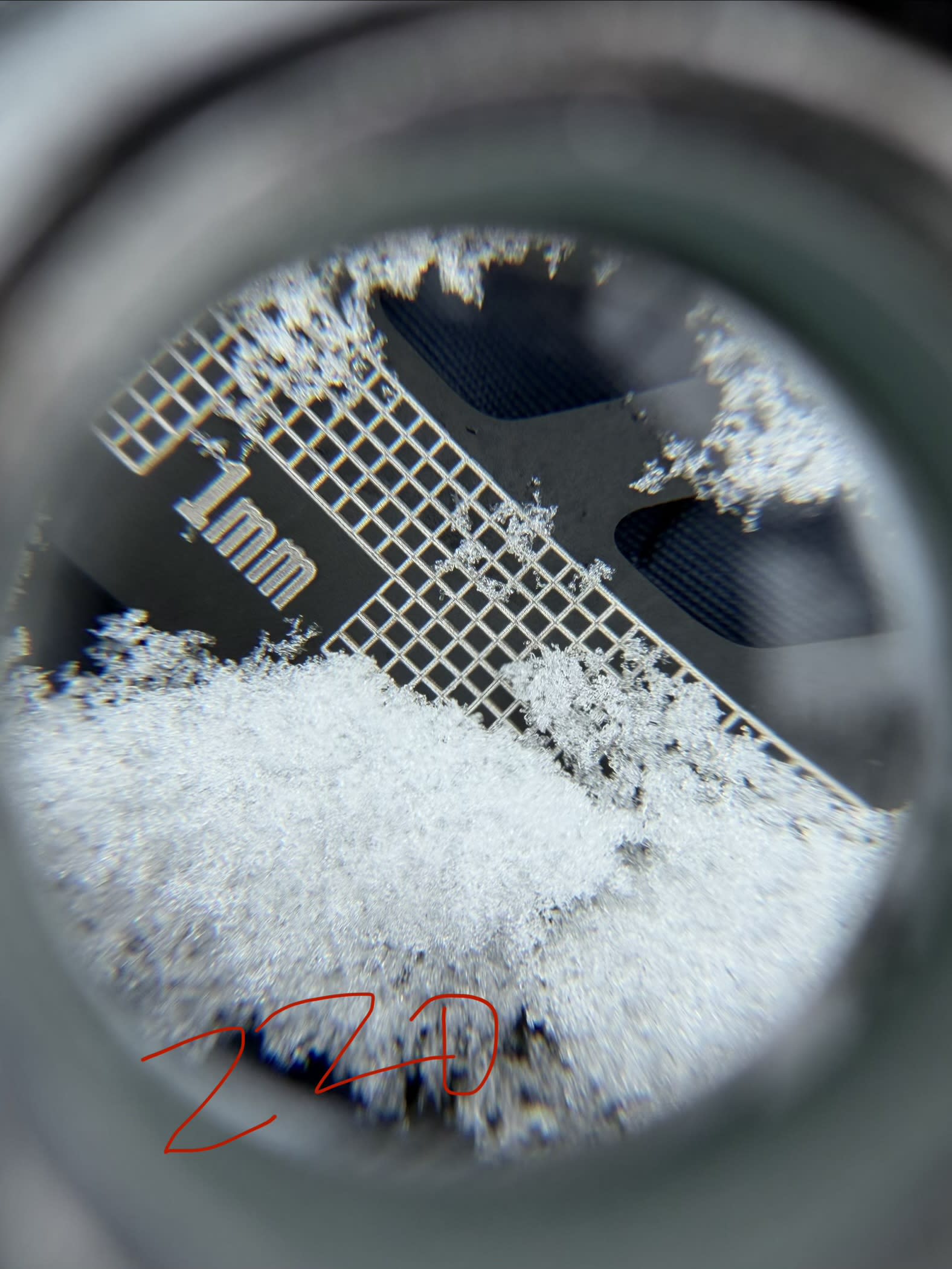 Observation photo