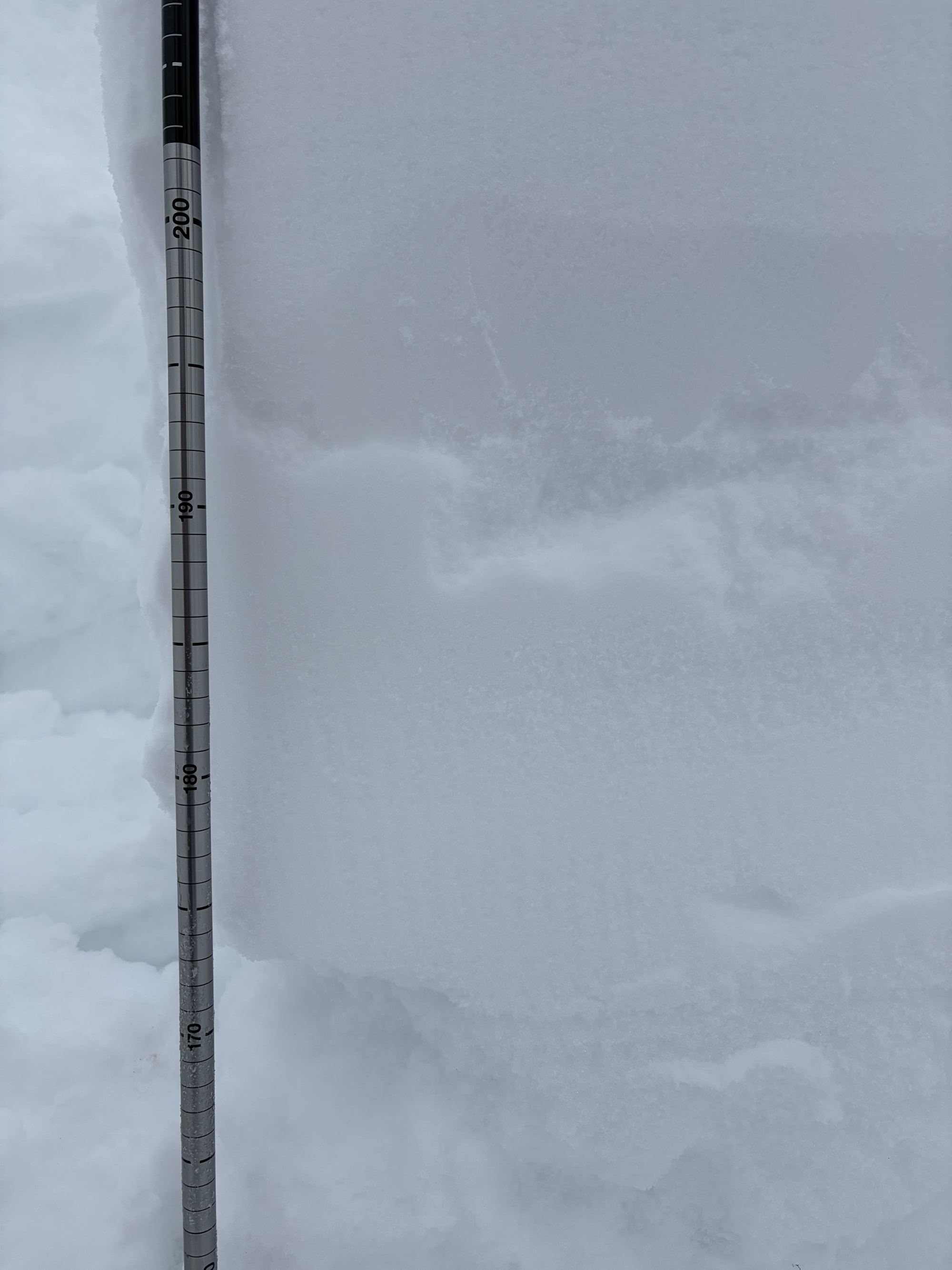 Observation photo