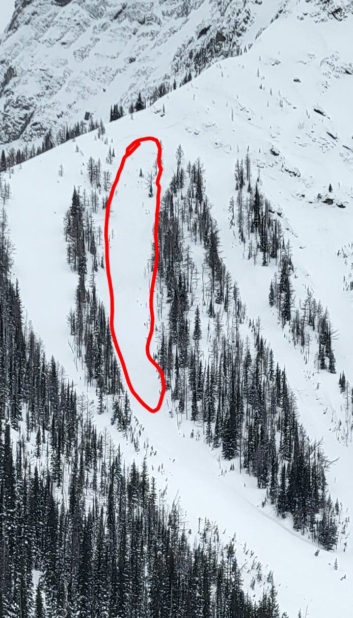 Observation photo