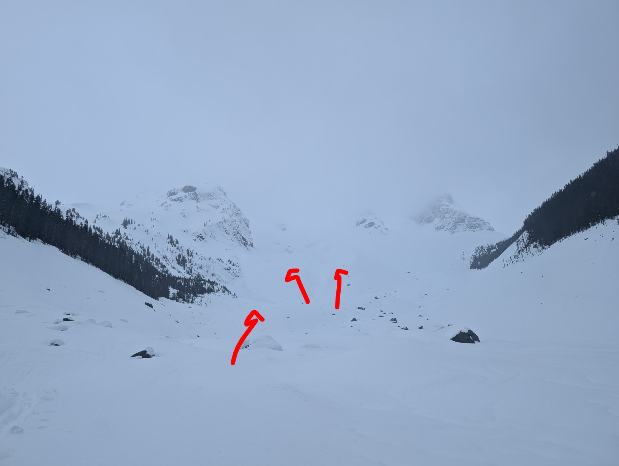 Observation photo
