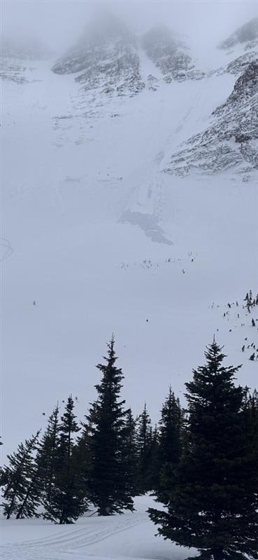 Observation photo