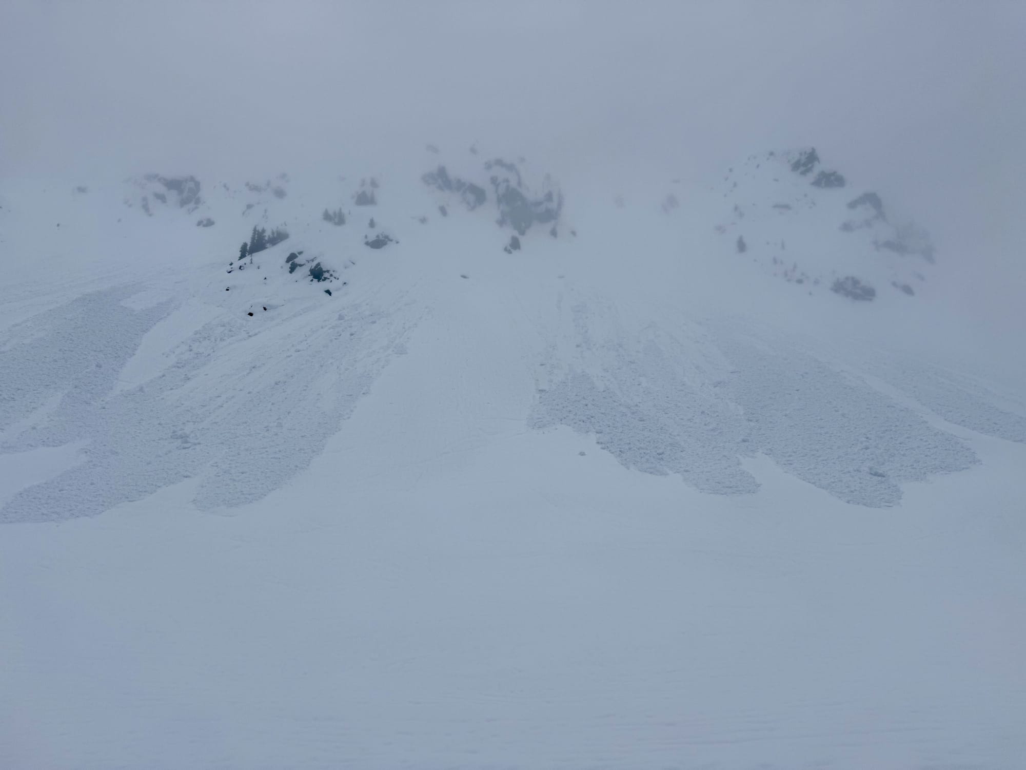 Observation photo