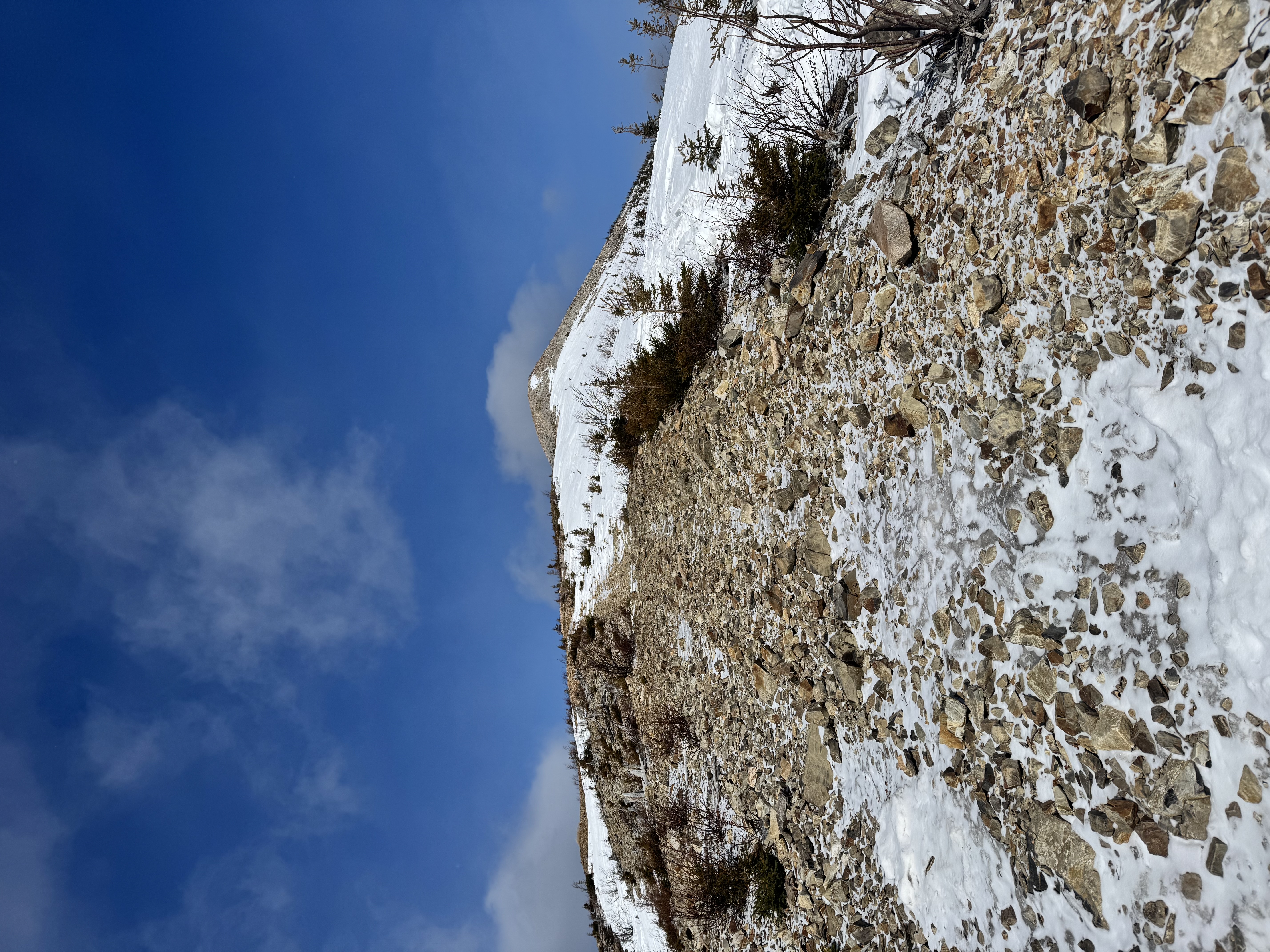 Observation photo