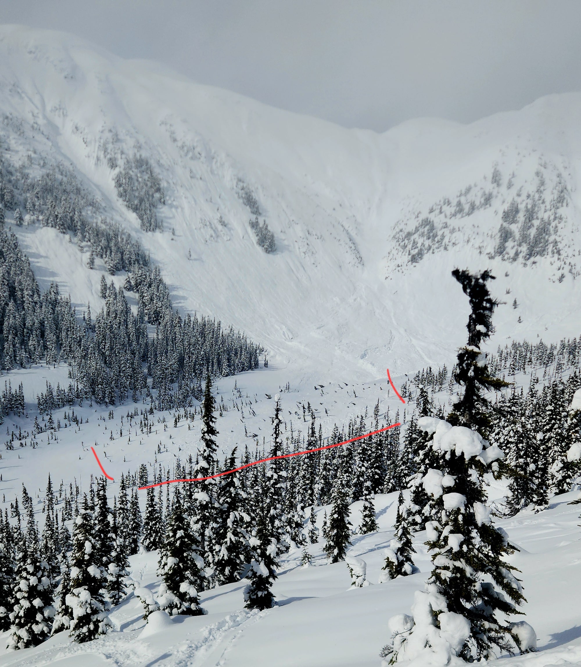 Observation photo