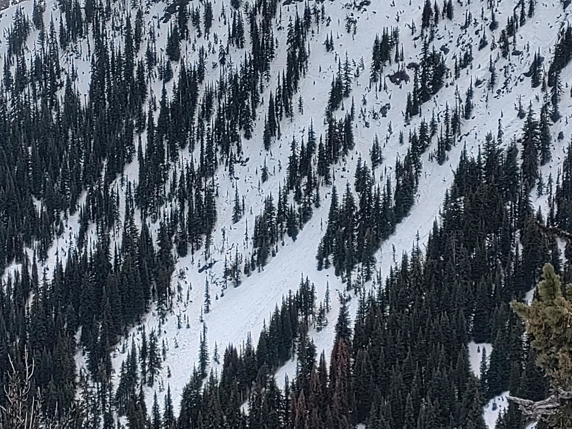 Observation photo