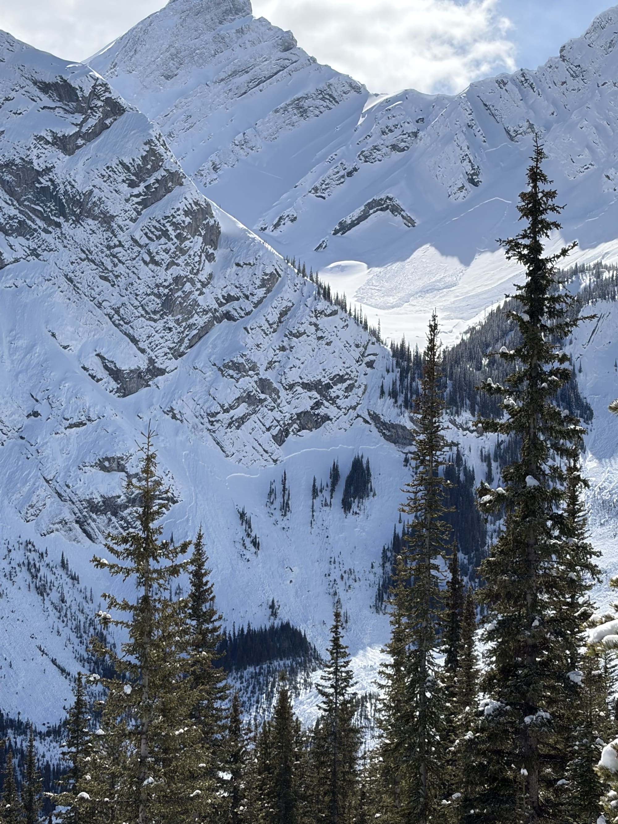 Observation photo