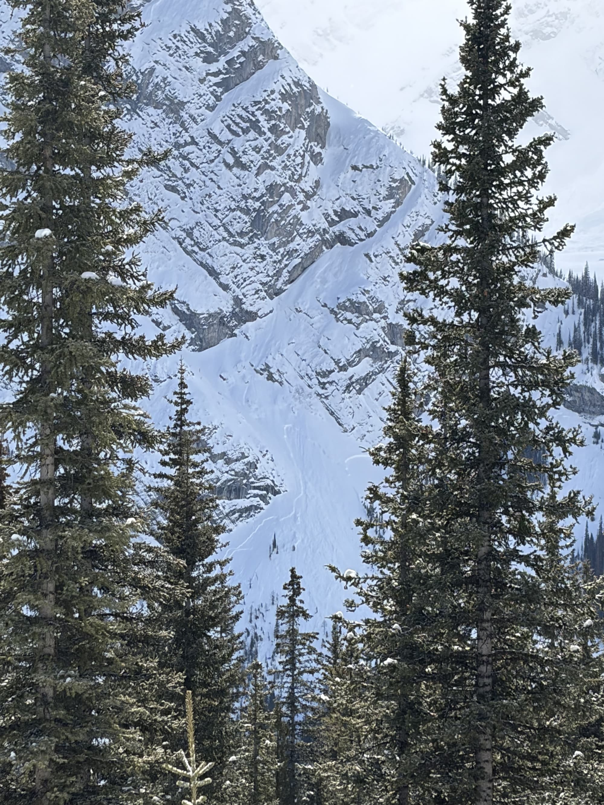 Observation photo