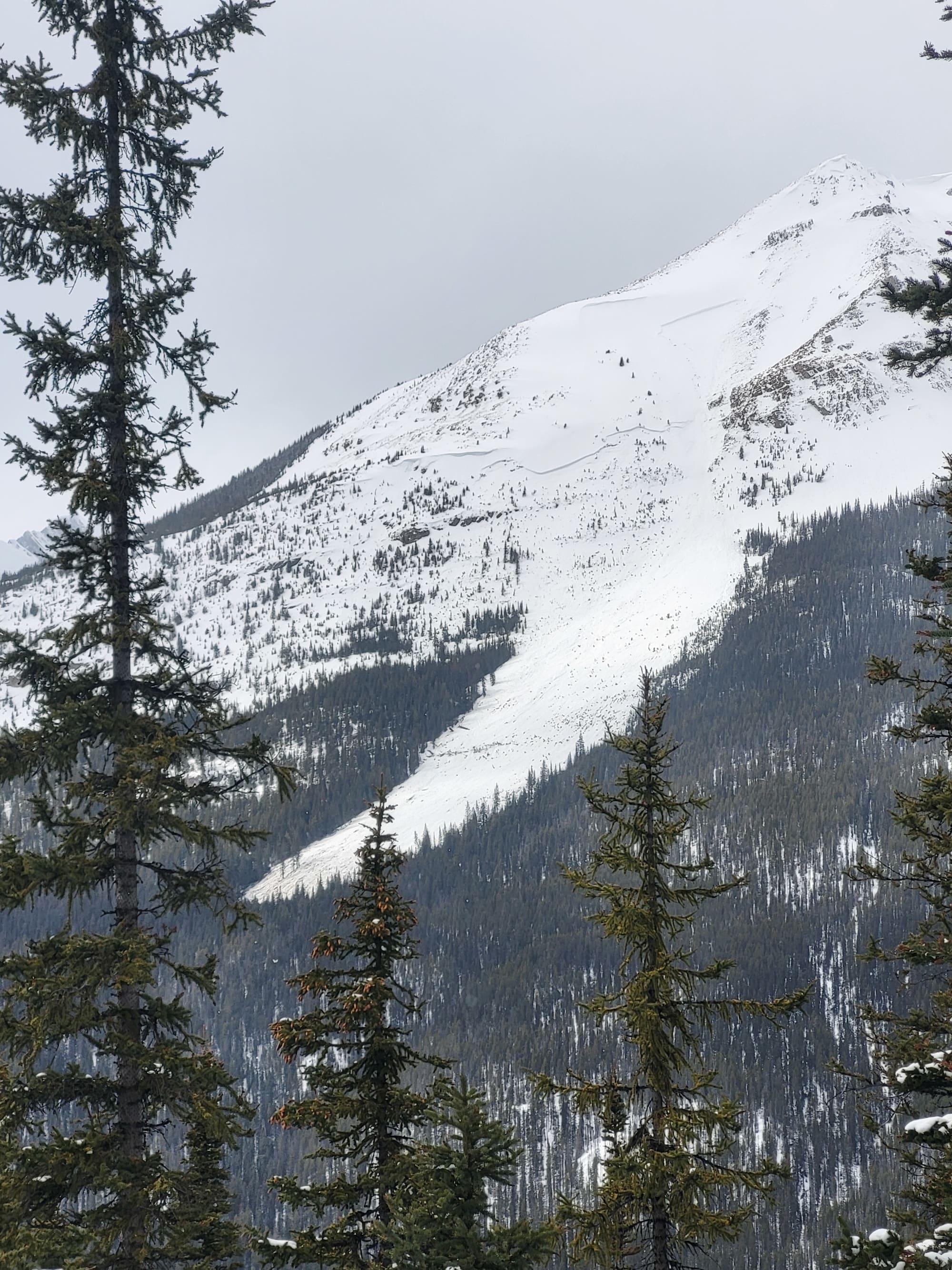 Observation photo