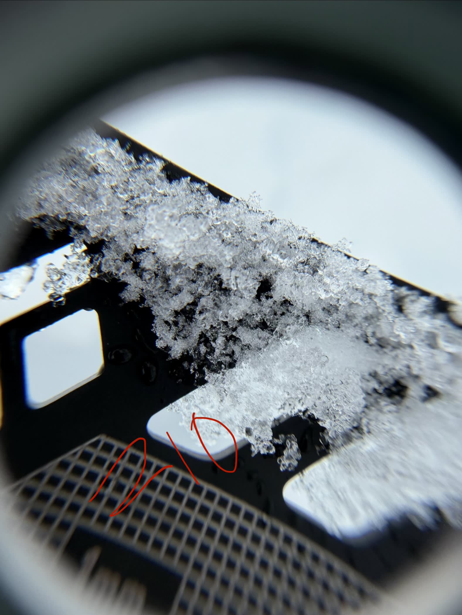 Observation photo
