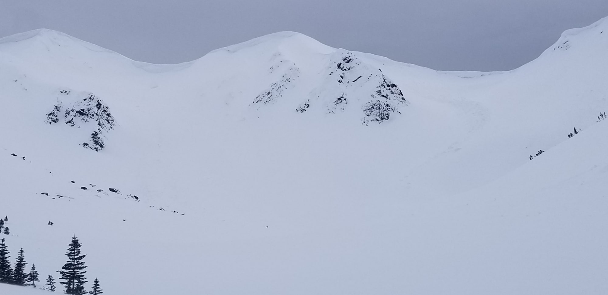 Observation photo