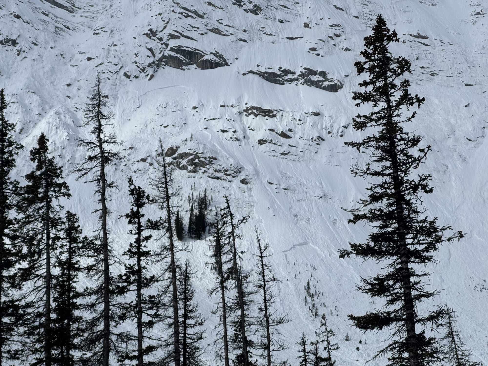 Observation photo