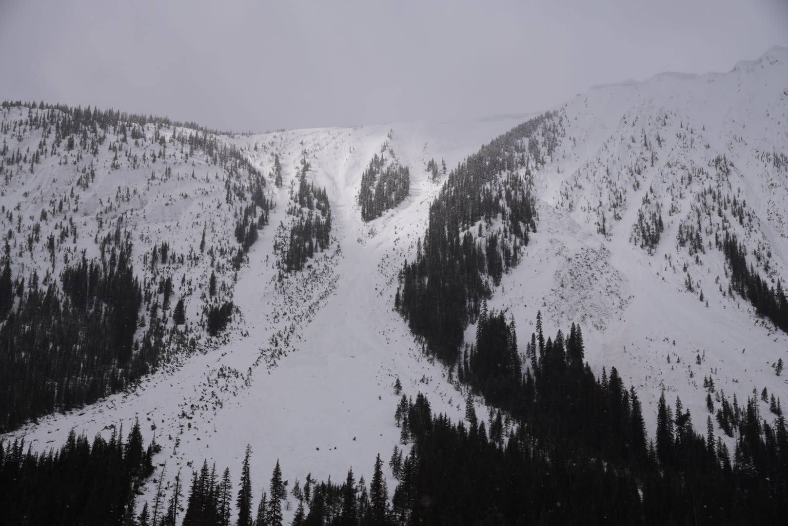 Observation photo