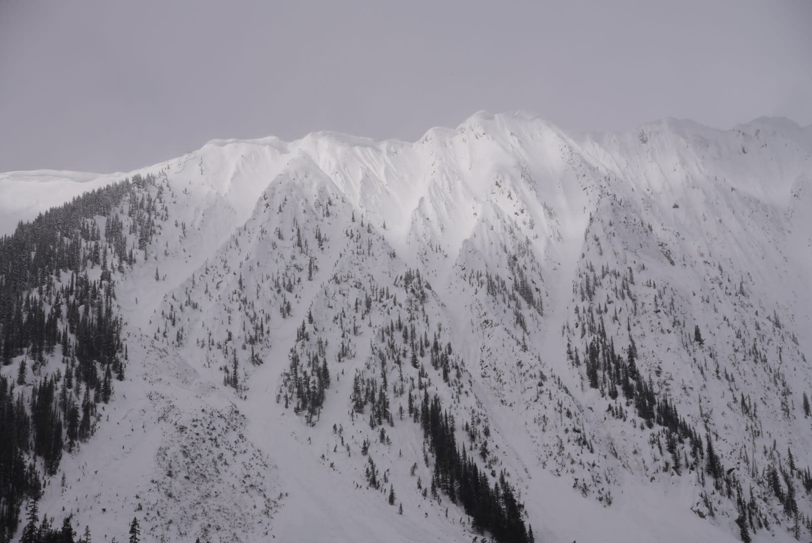 Observation photo