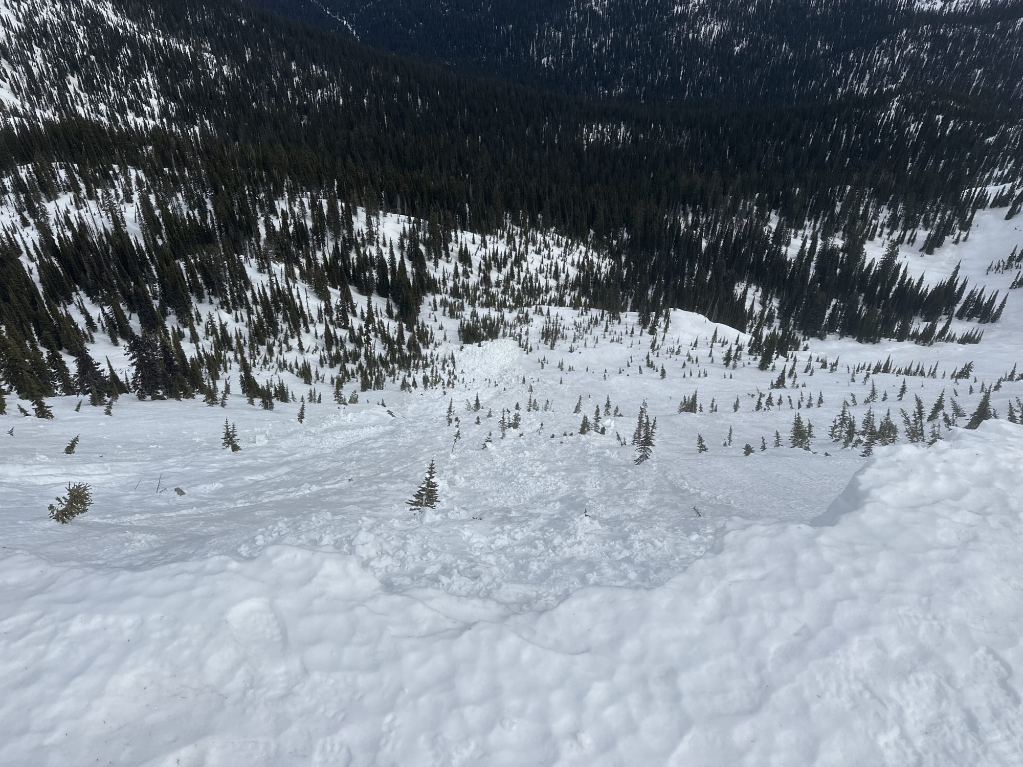 Observation photo