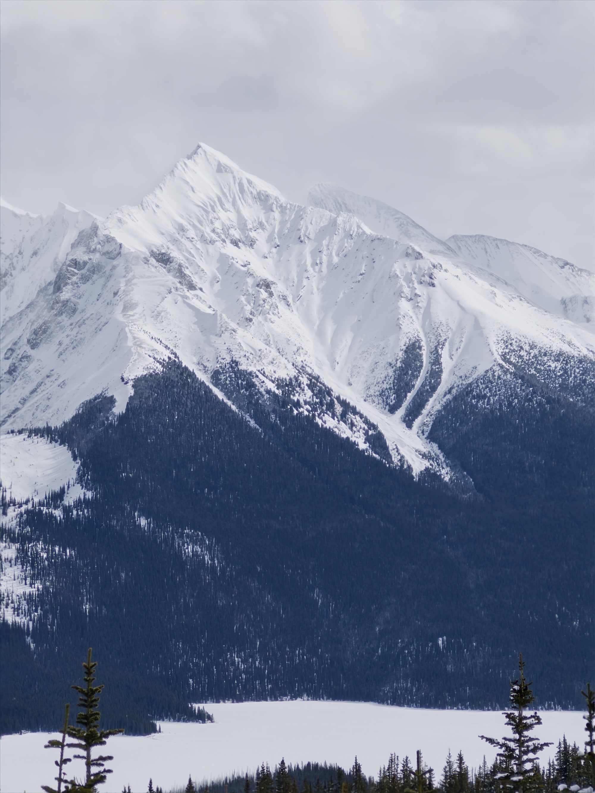 Observation photo