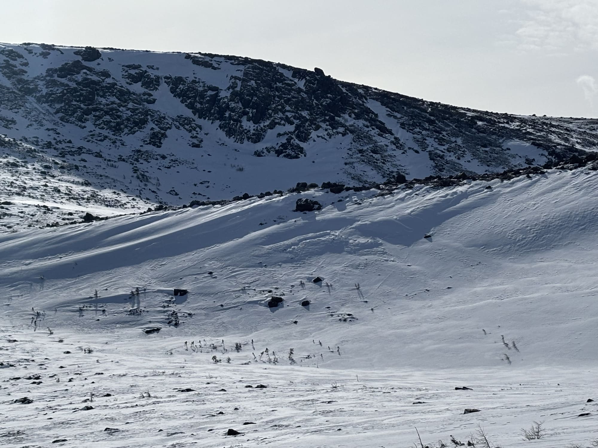 Observation photo