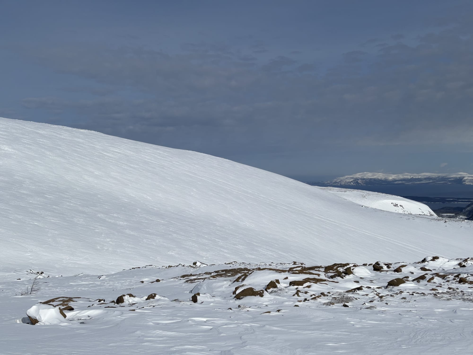 Observation photo