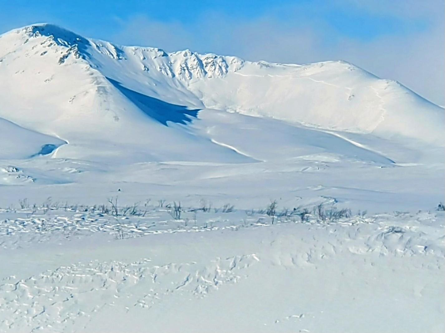 Observation photo