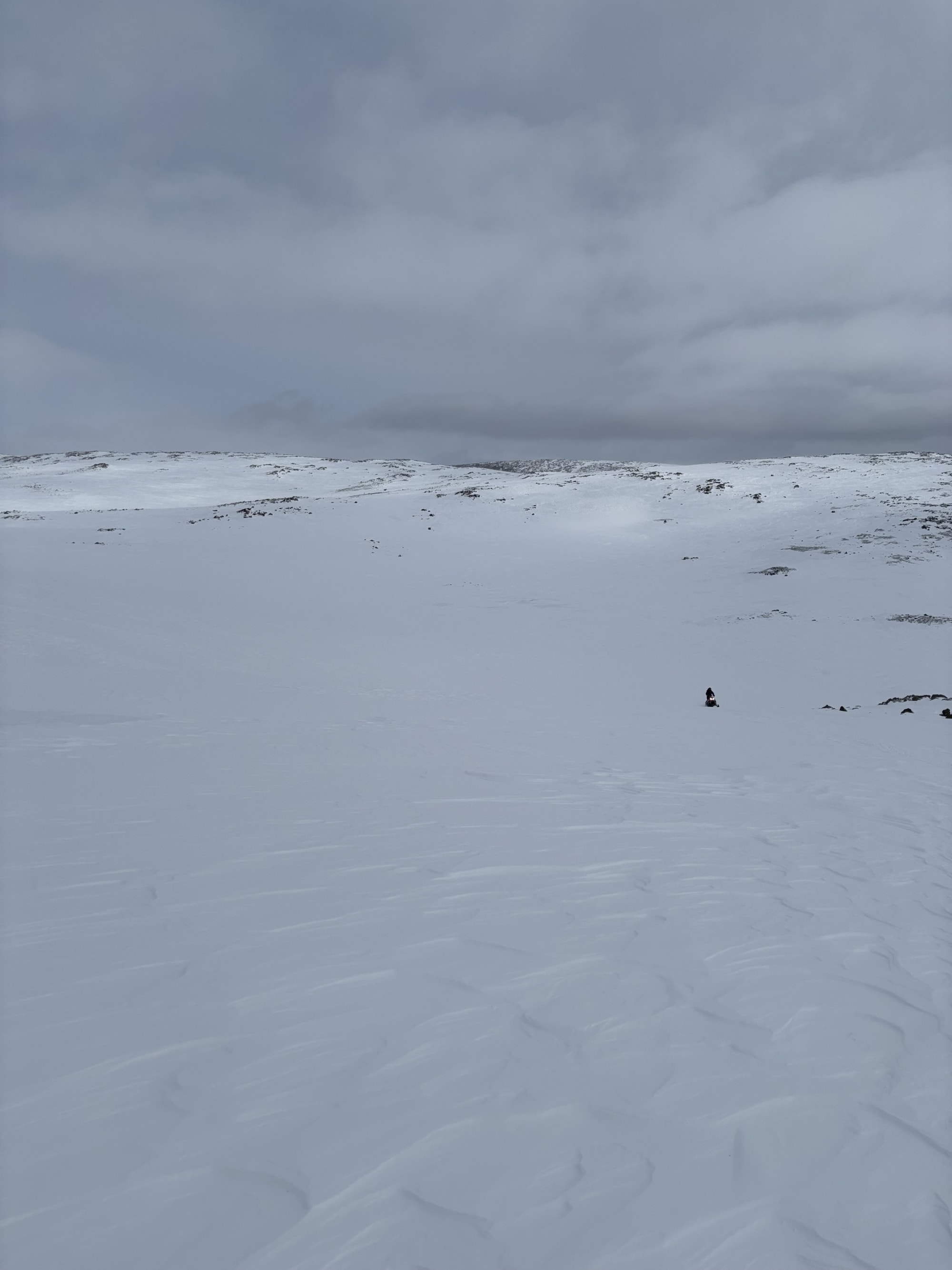 Observation photo