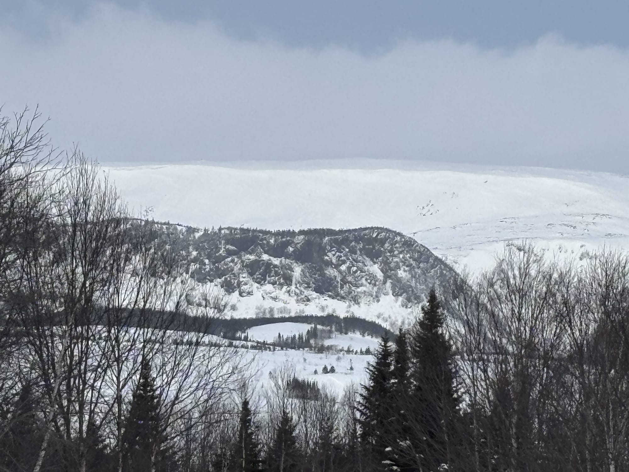 Observation photo