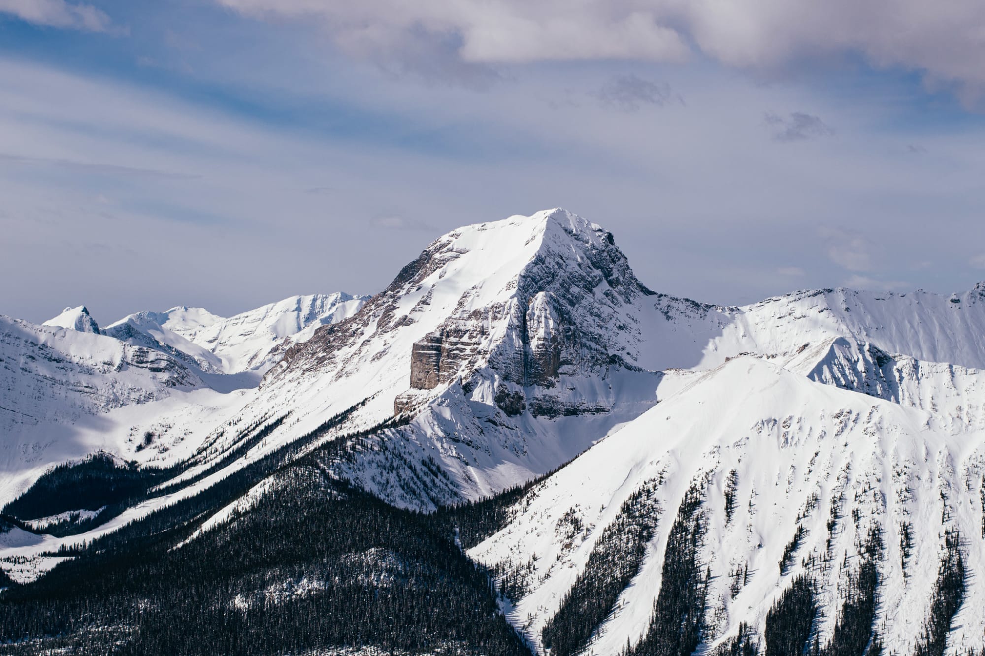 Observation photo