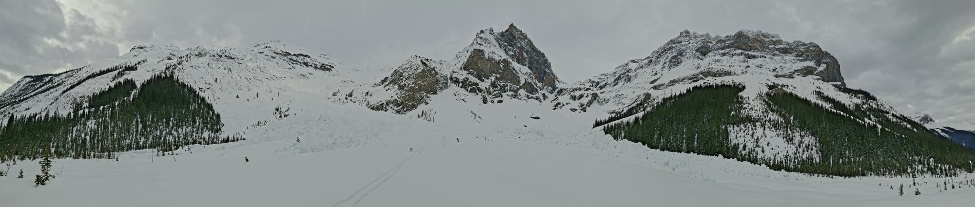 Observation photo