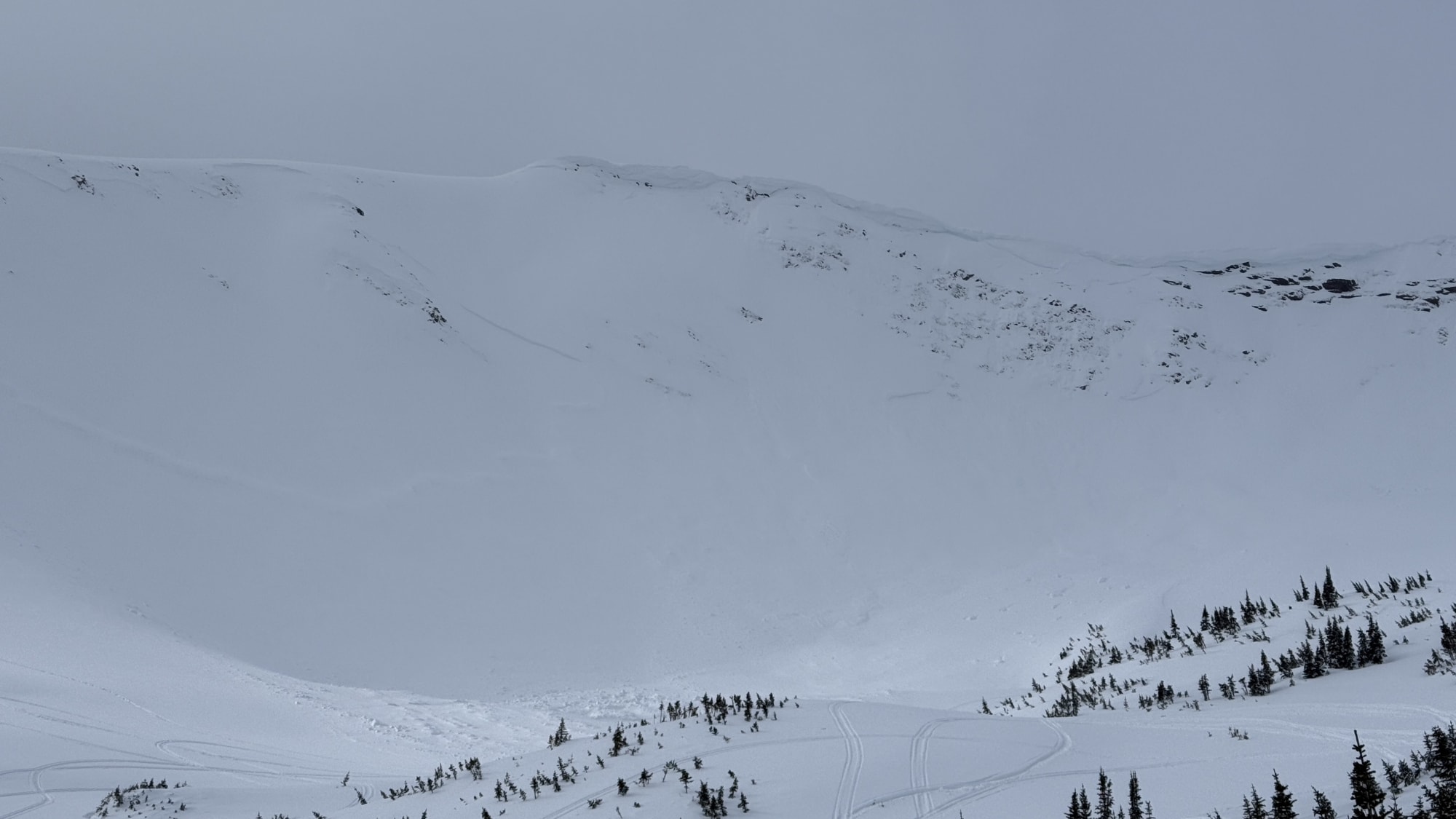 Observation photo