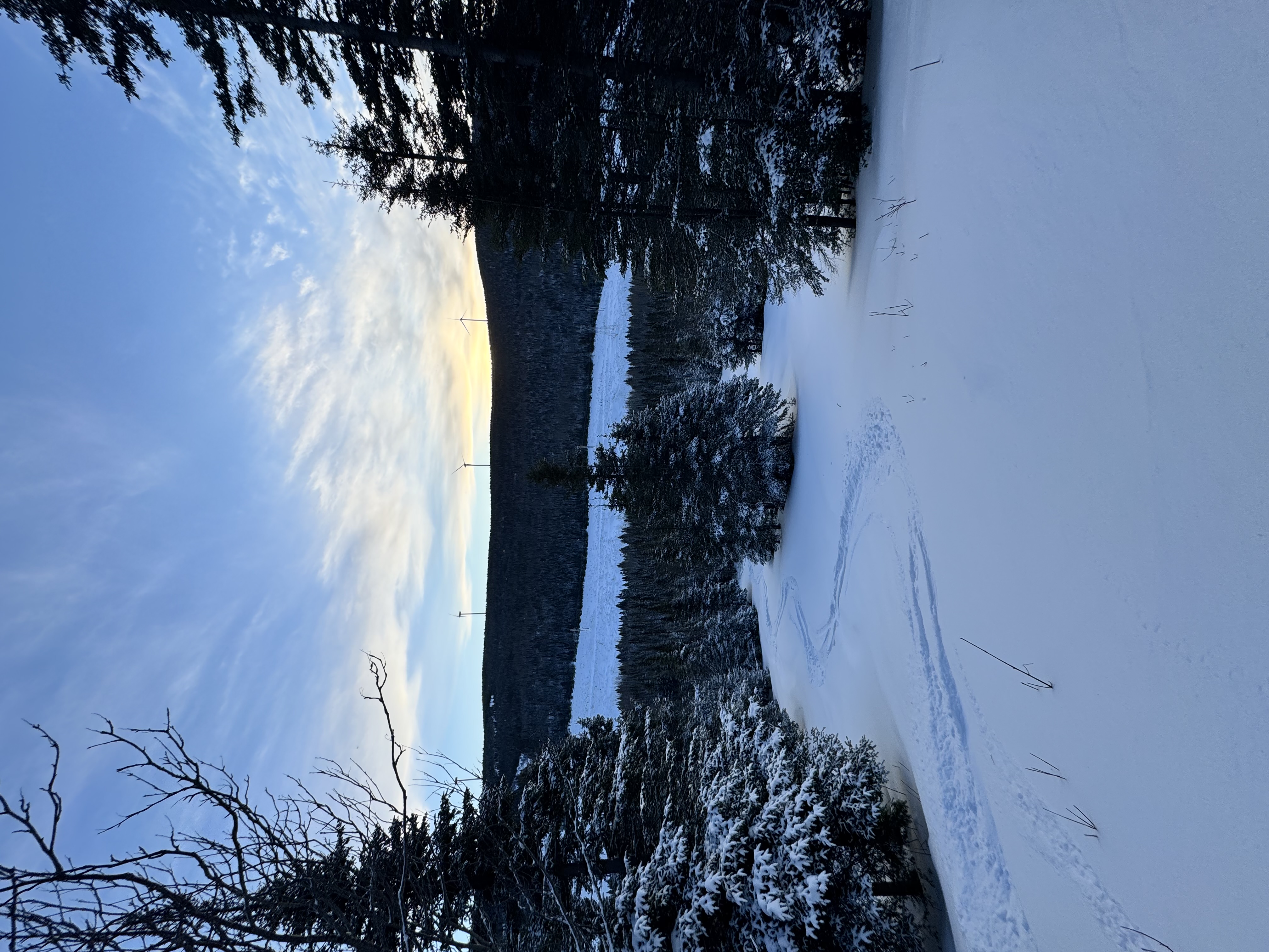 Observation photo