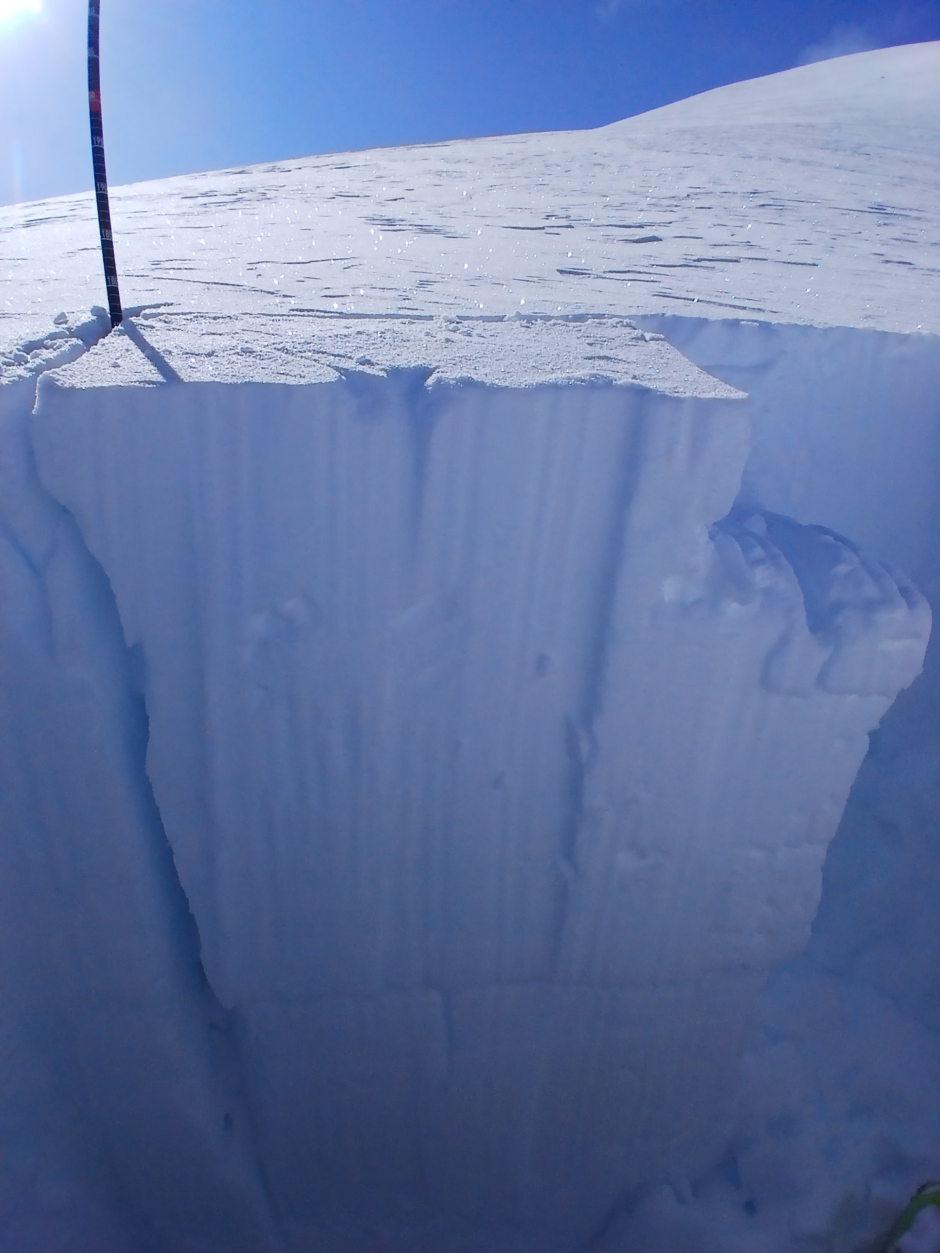 Observation photo