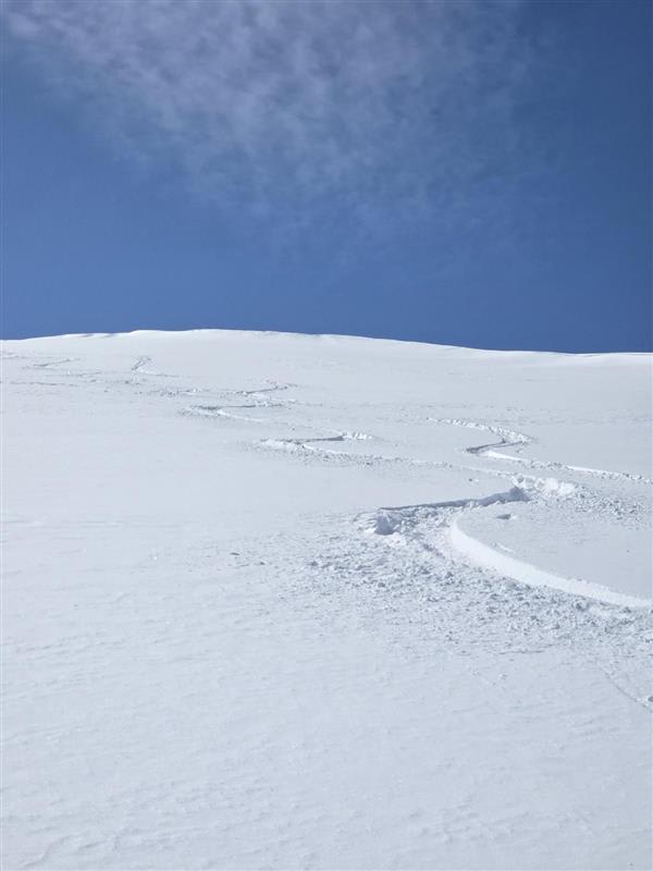 Observation photo