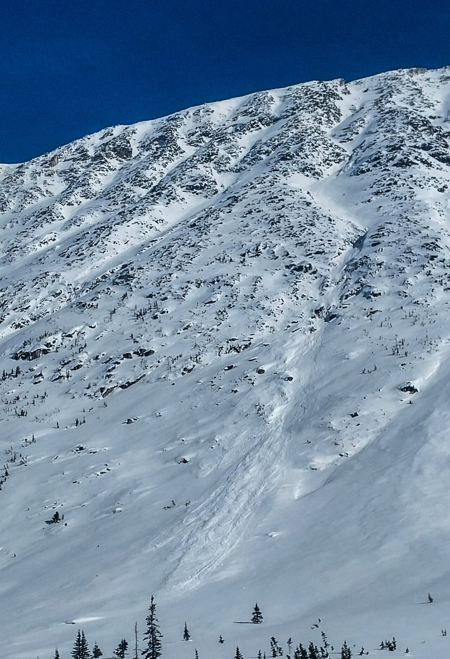 Observation photo