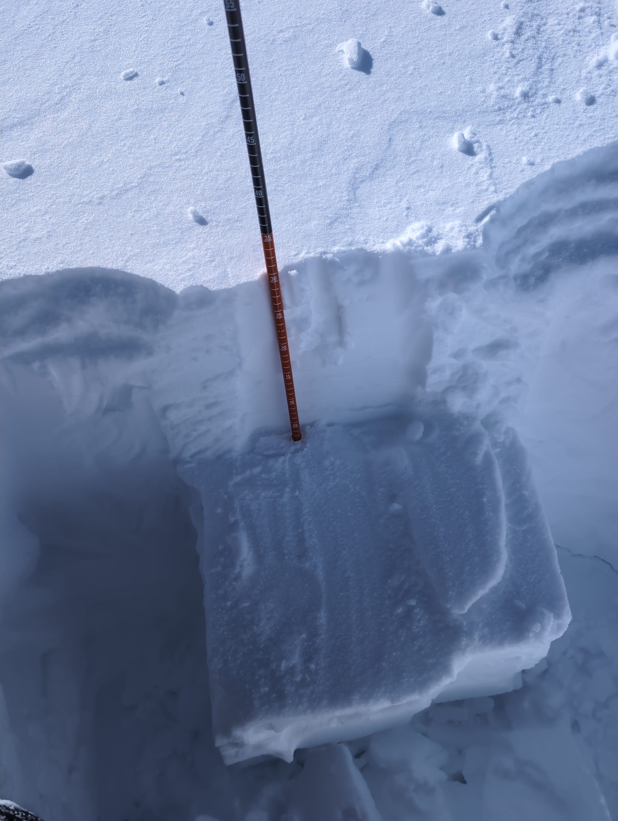 Observation photo