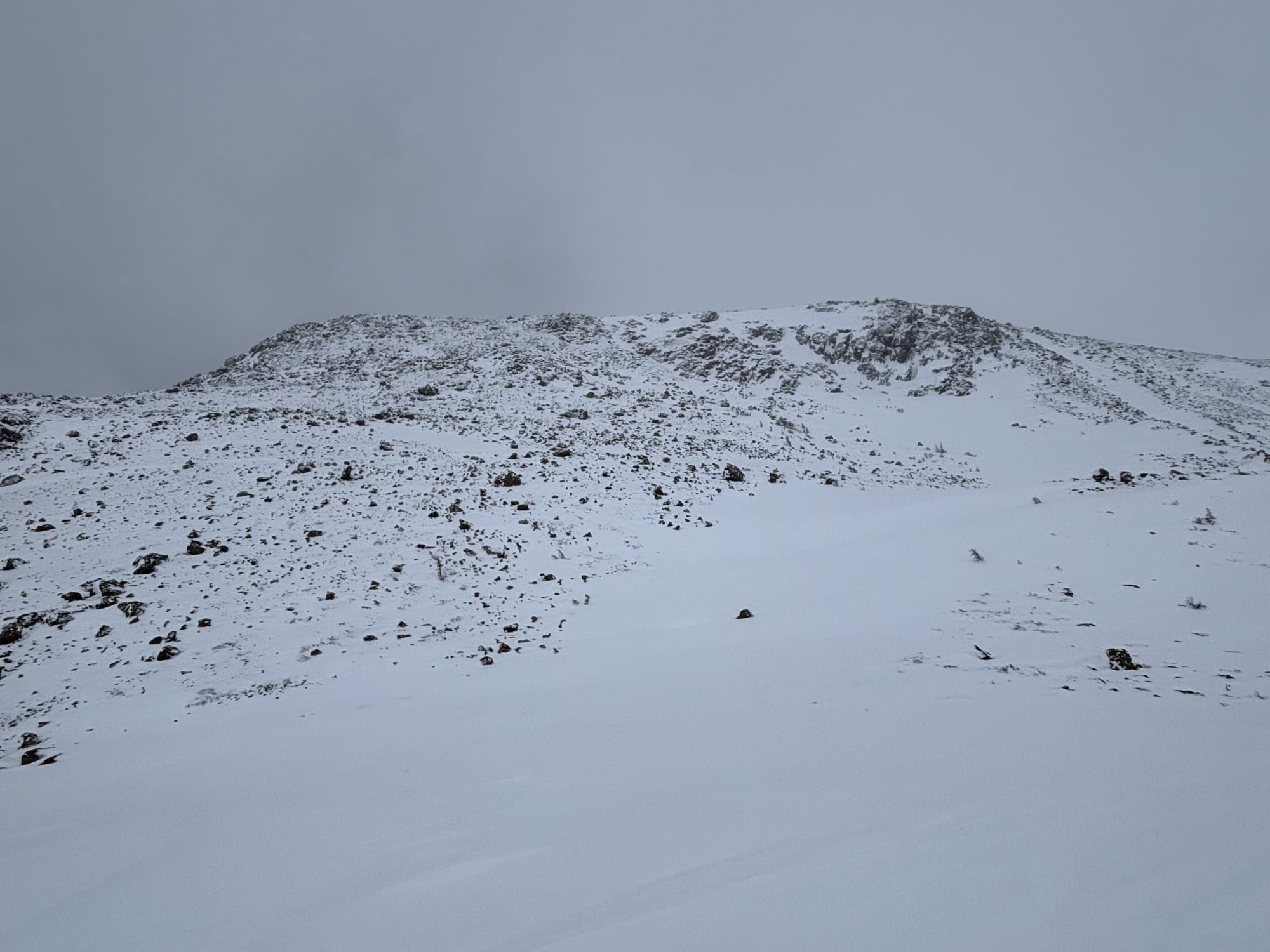 Observation photo