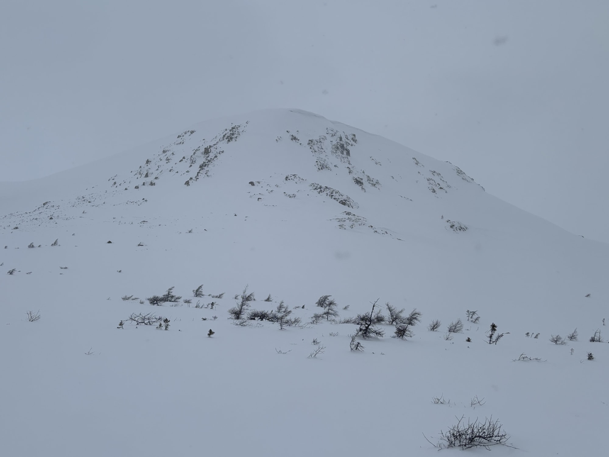 Observation photo