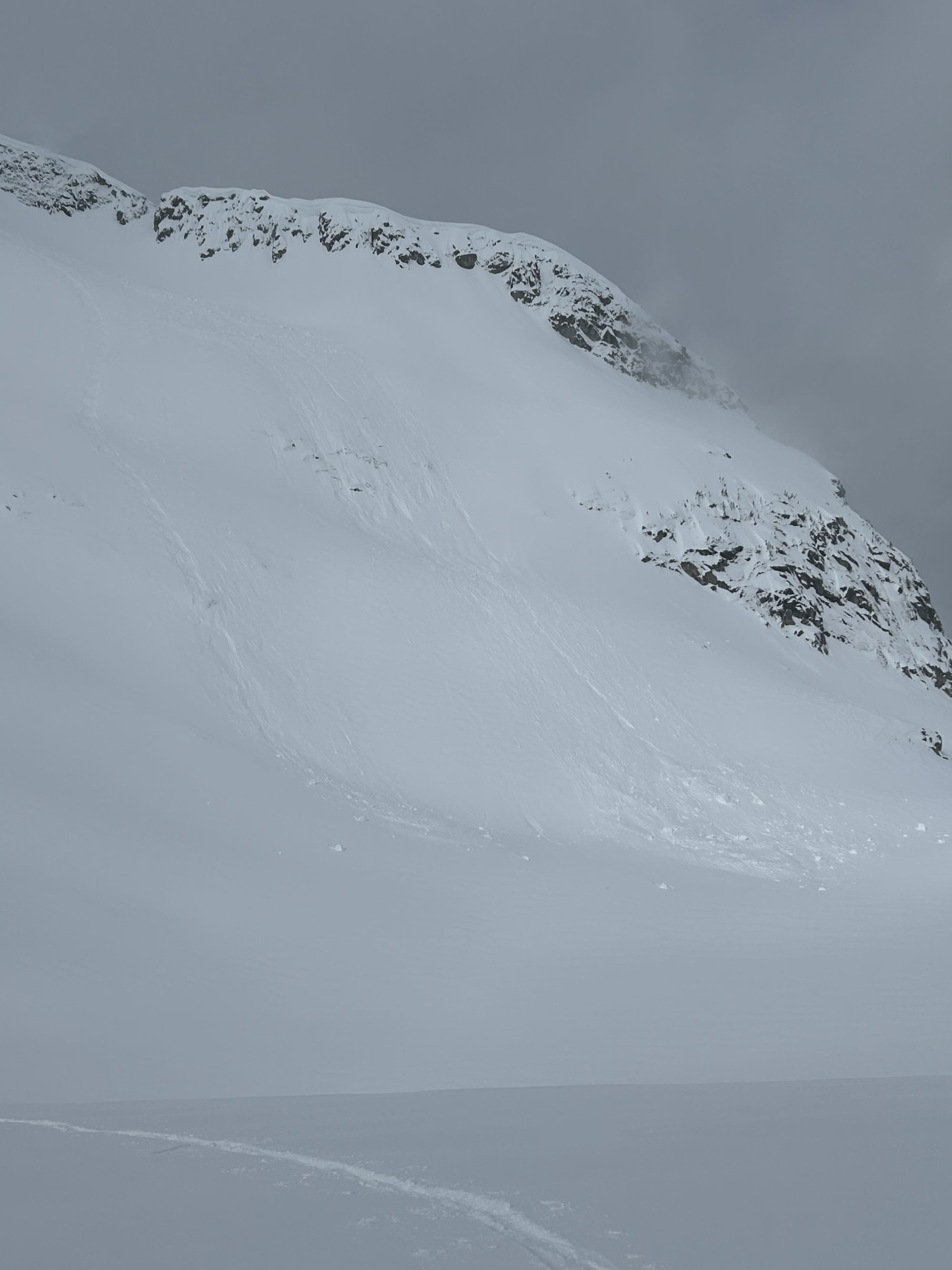 Observation photo