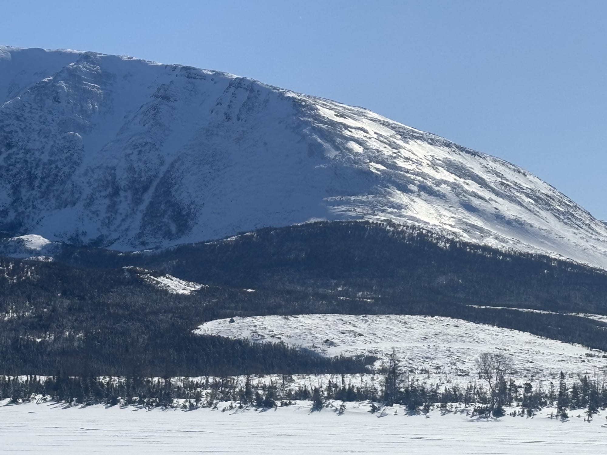 Observation photo
