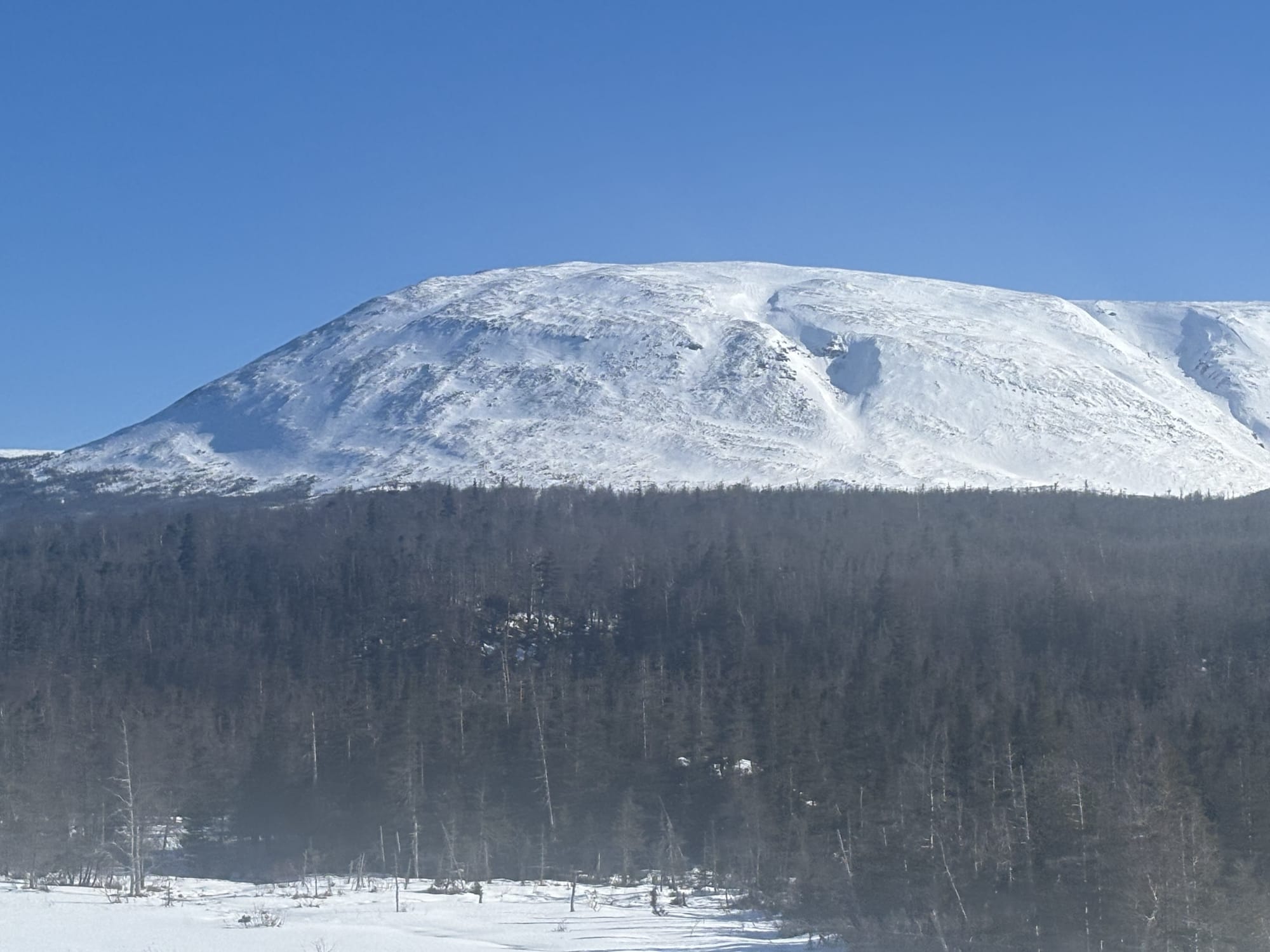 Observation photo